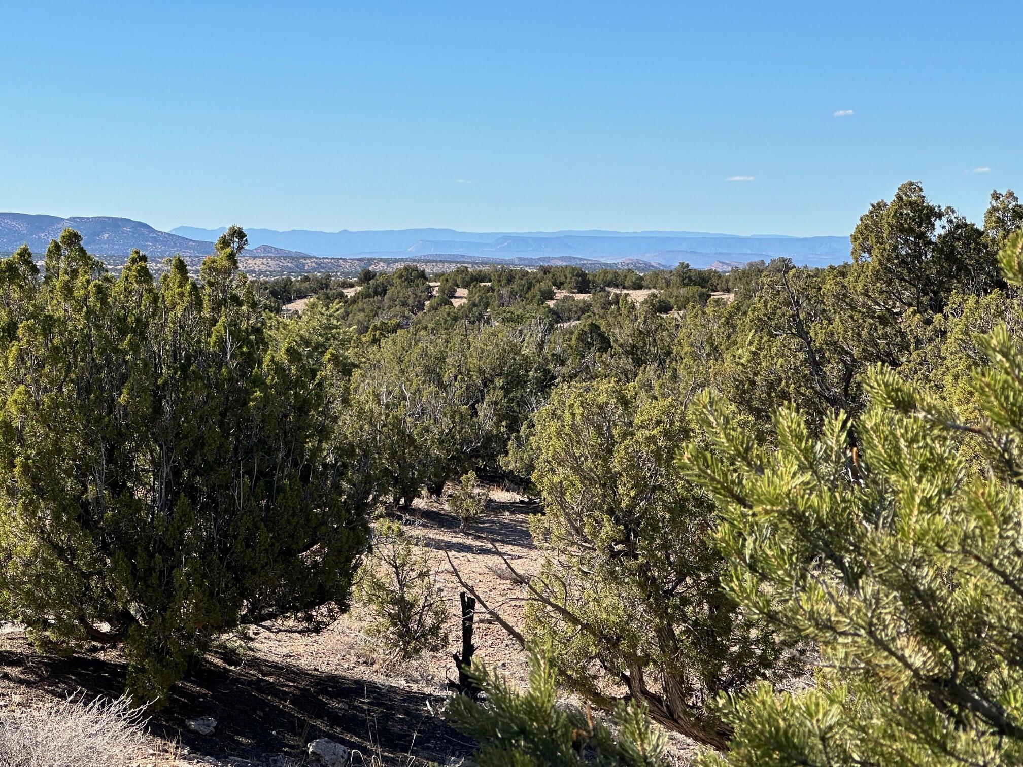 Photo 6 — 45 Stagecoach Trail