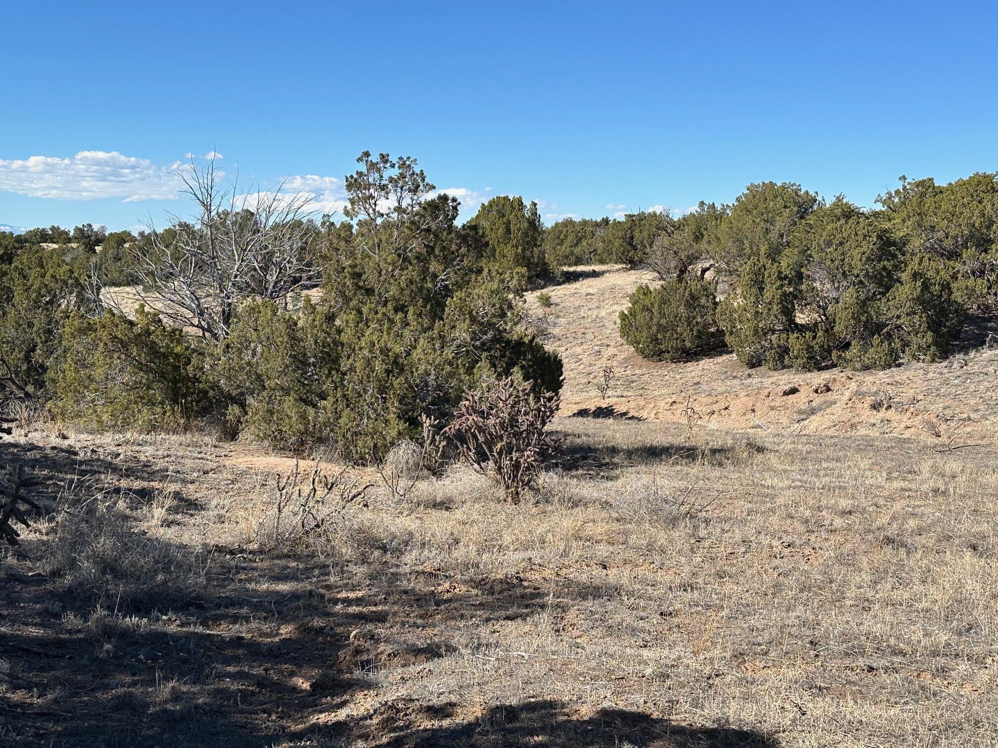 Photo 7 — 45 Stagecoach Trail