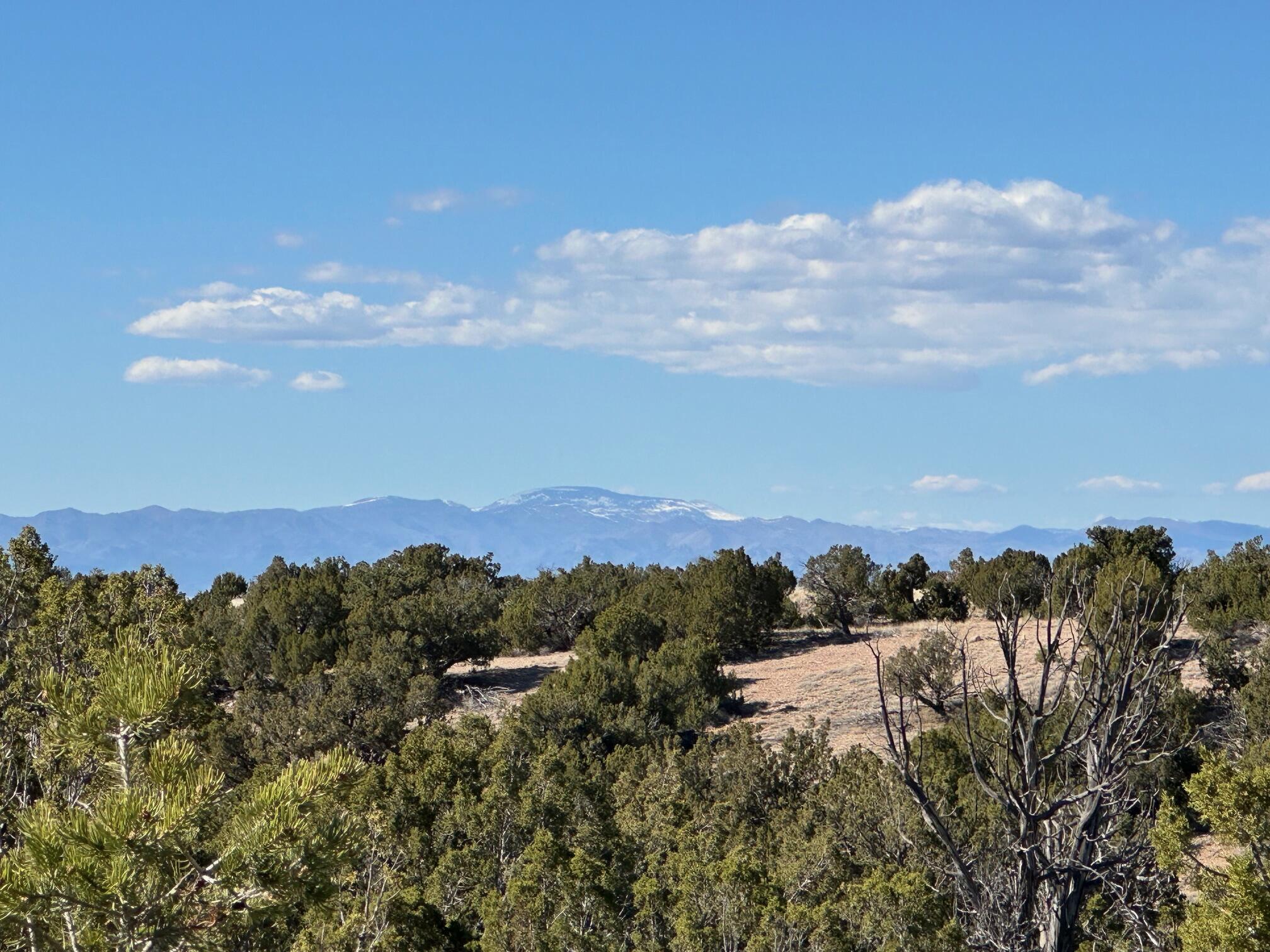 Photo 8 — 45 Stagecoach Trail