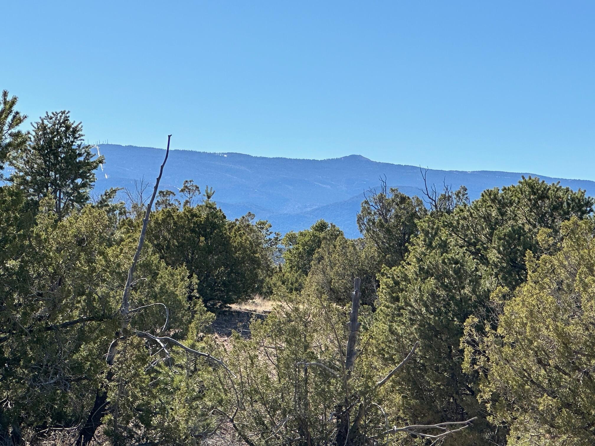 Photo 9 — 45 Stagecoach Trail