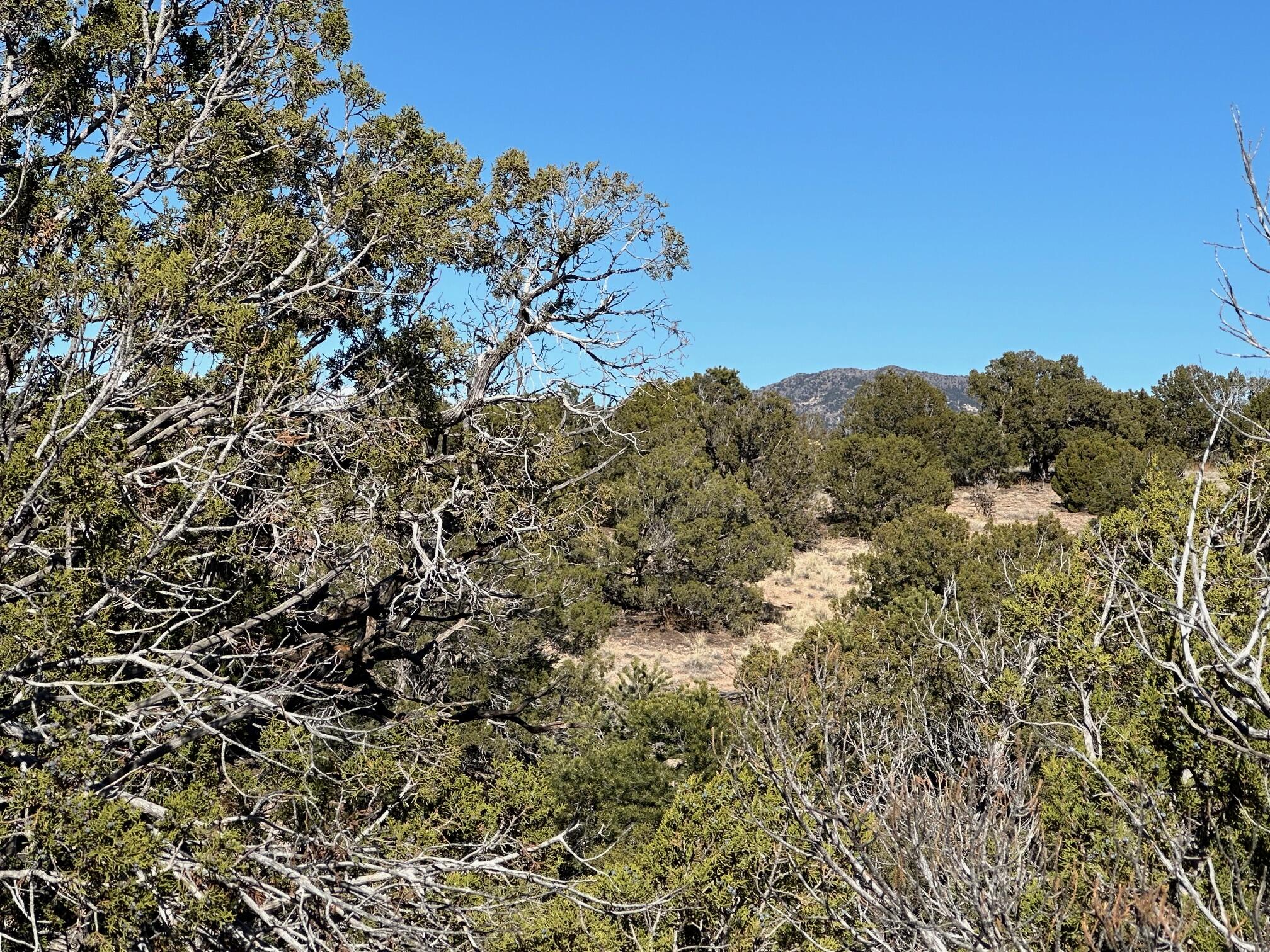 Photo 12 — 45 Stagecoach Trail
