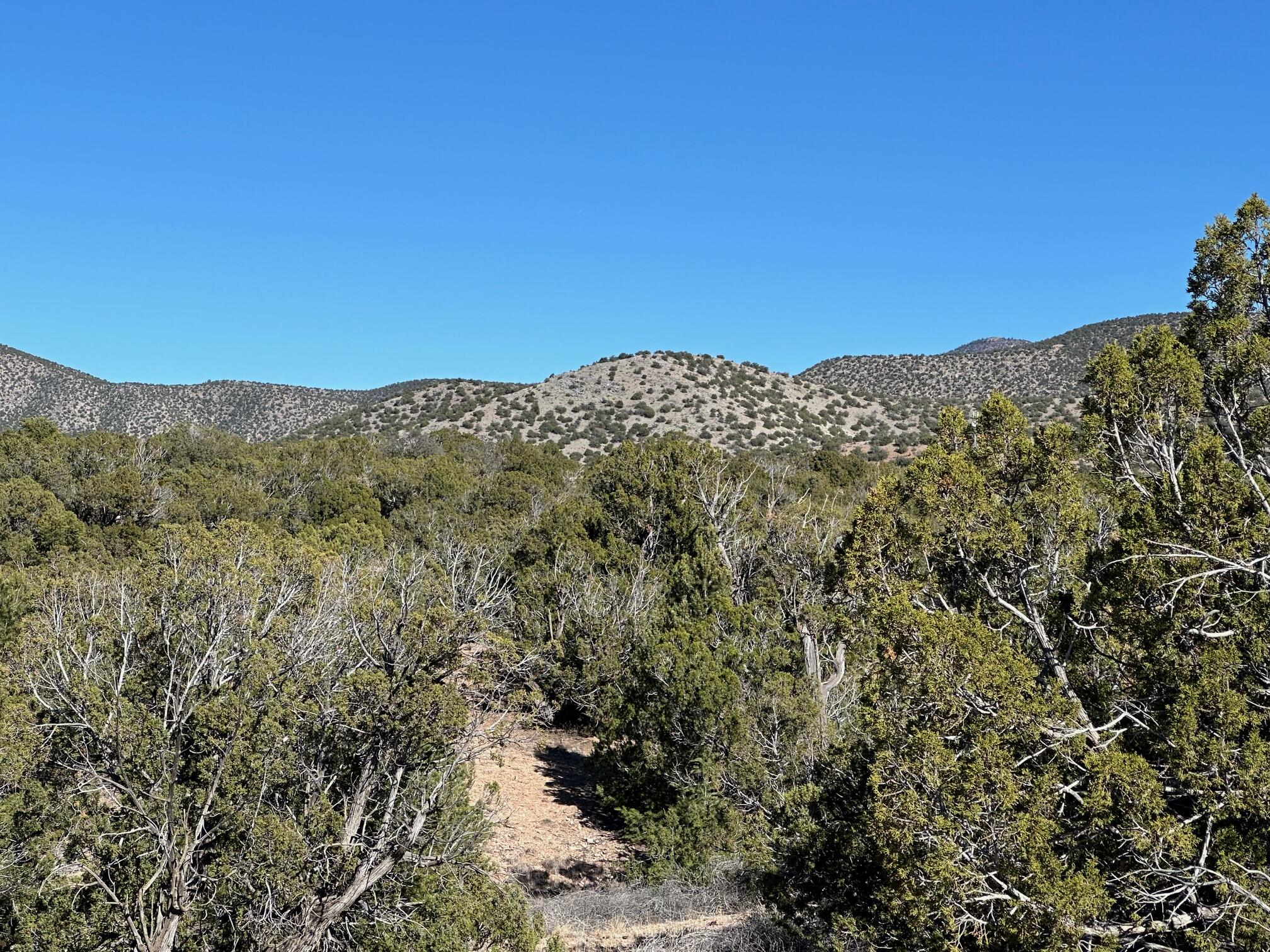 Photo 13 — 45 Stagecoach Trail