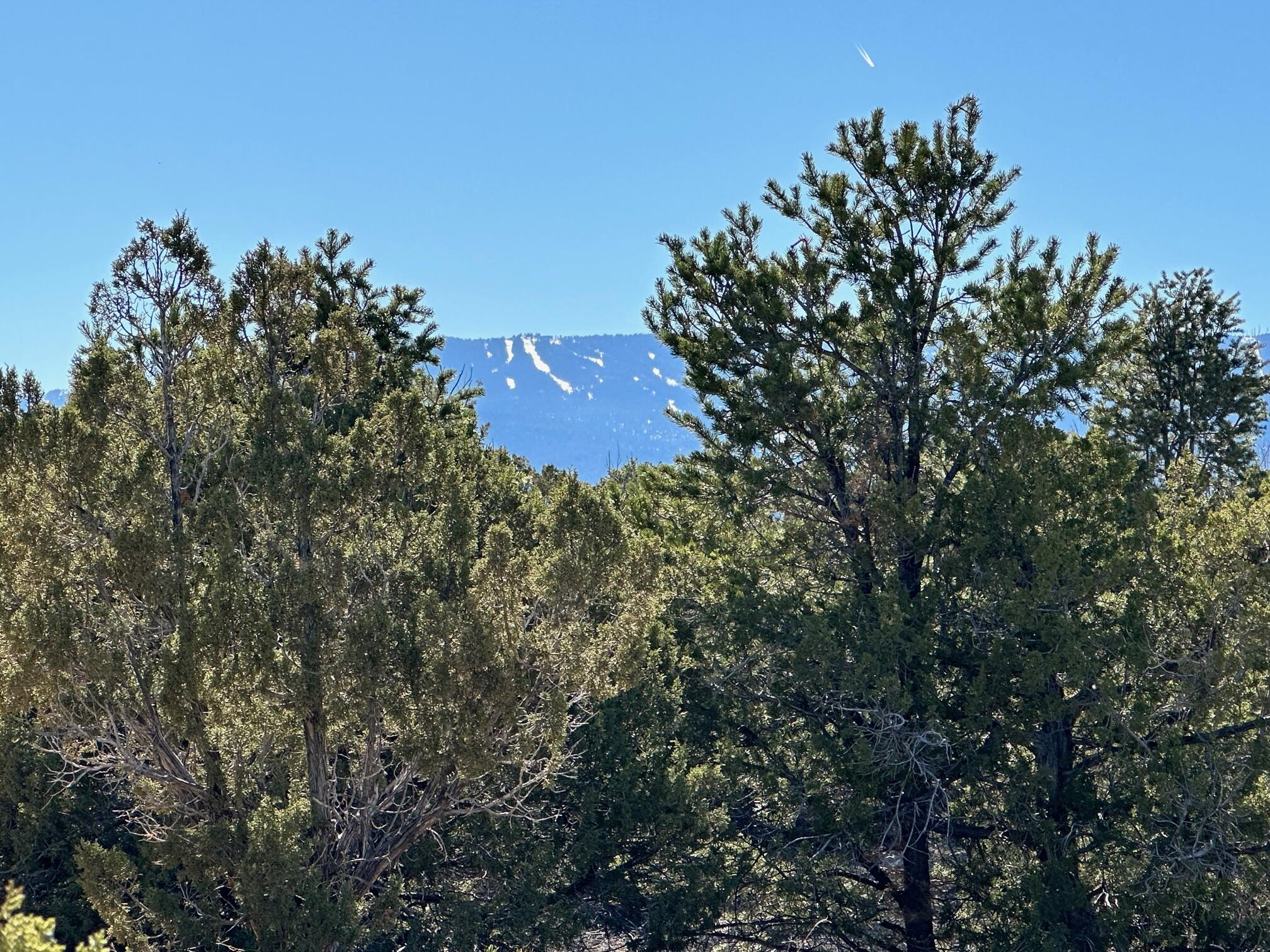 Photo 5 — 45 Stagecoach Trail