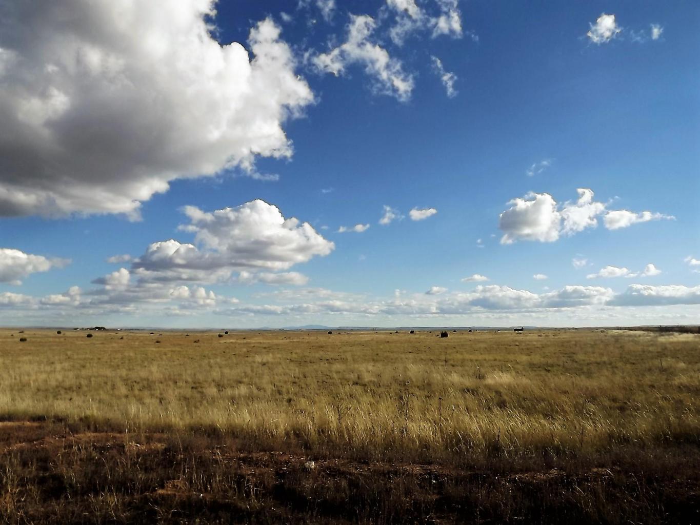  Palomino (Lots 22 & 23) Drive, Moriarty, NM 87035