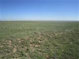  Palomino Dr (Lot 23), Moriarty, NM 87035