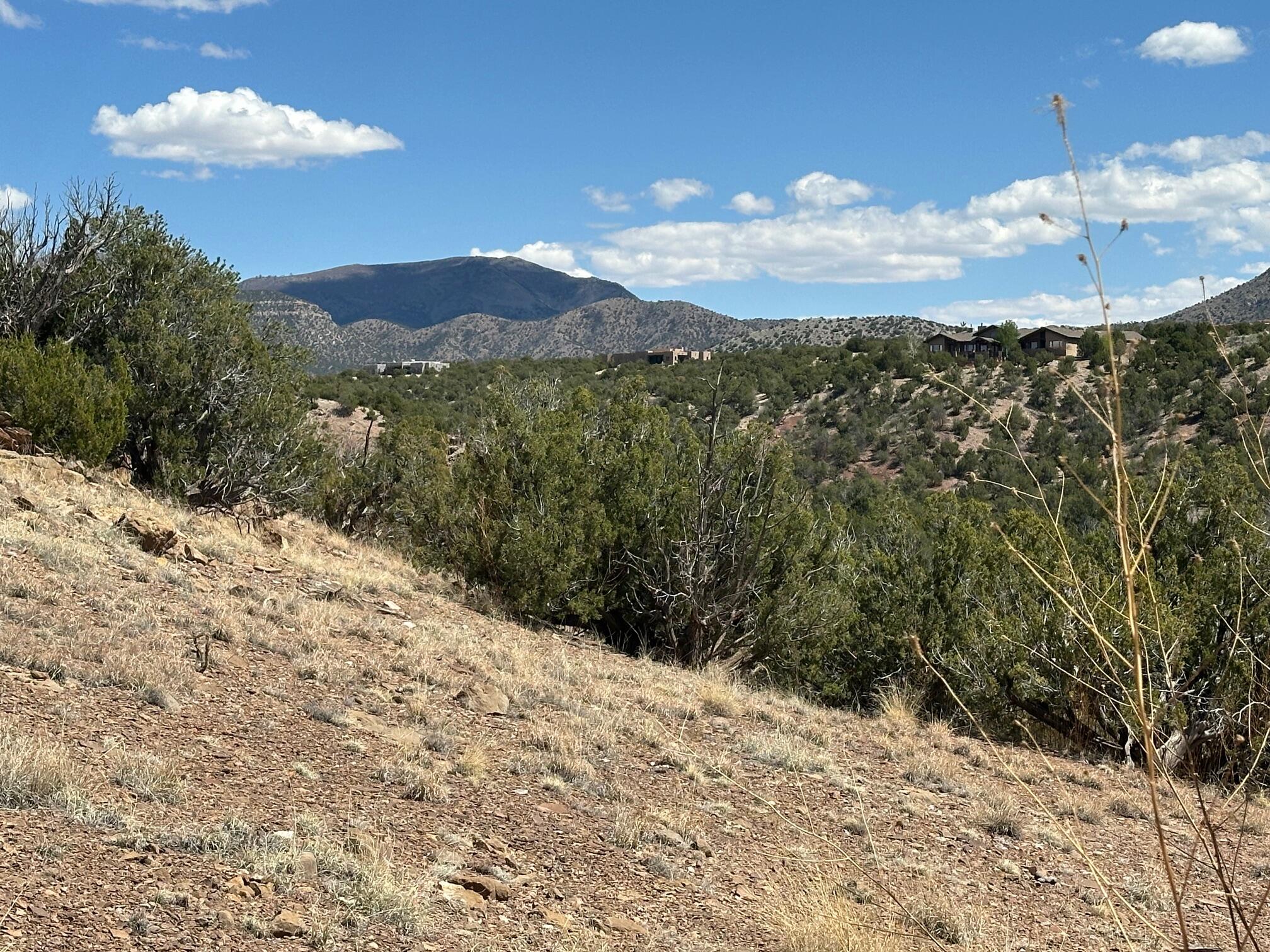Photo 17 — 64 GOLD MINE Trail