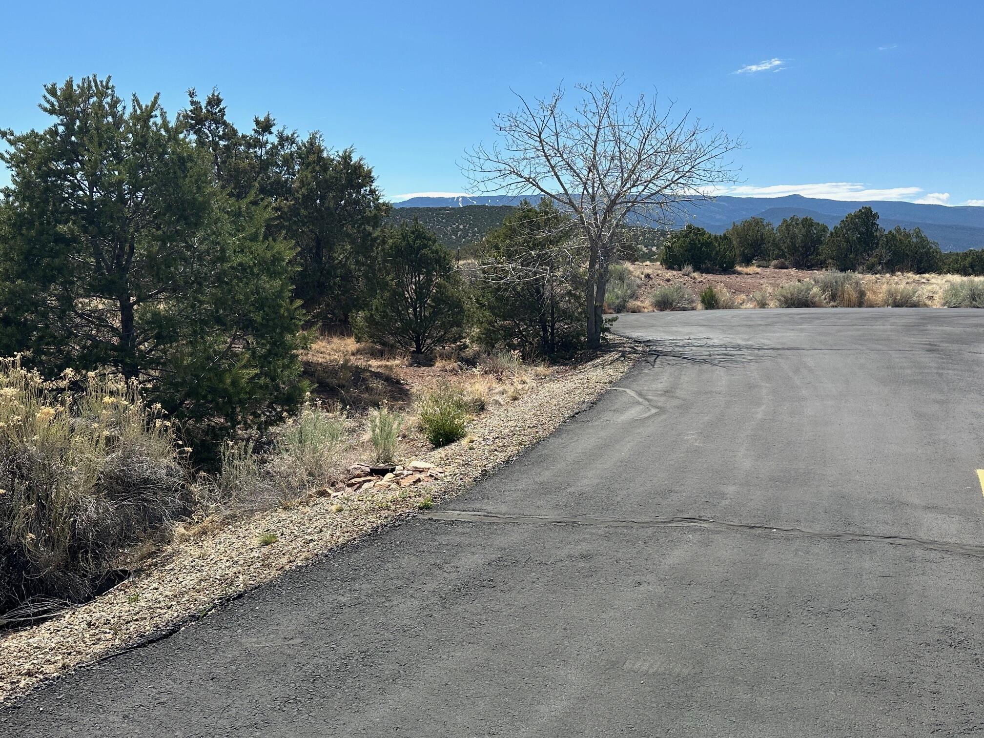 Photo 20 — 64 GOLD MINE Trail