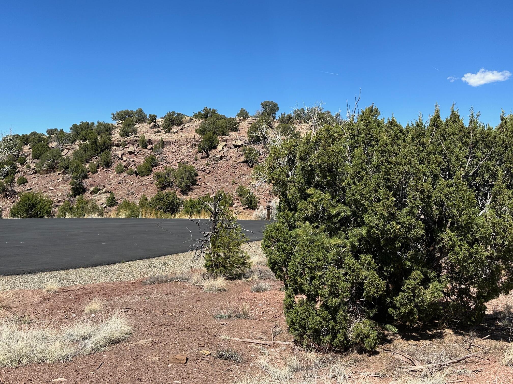 Photo 13 — 64 GOLD MINE Trail