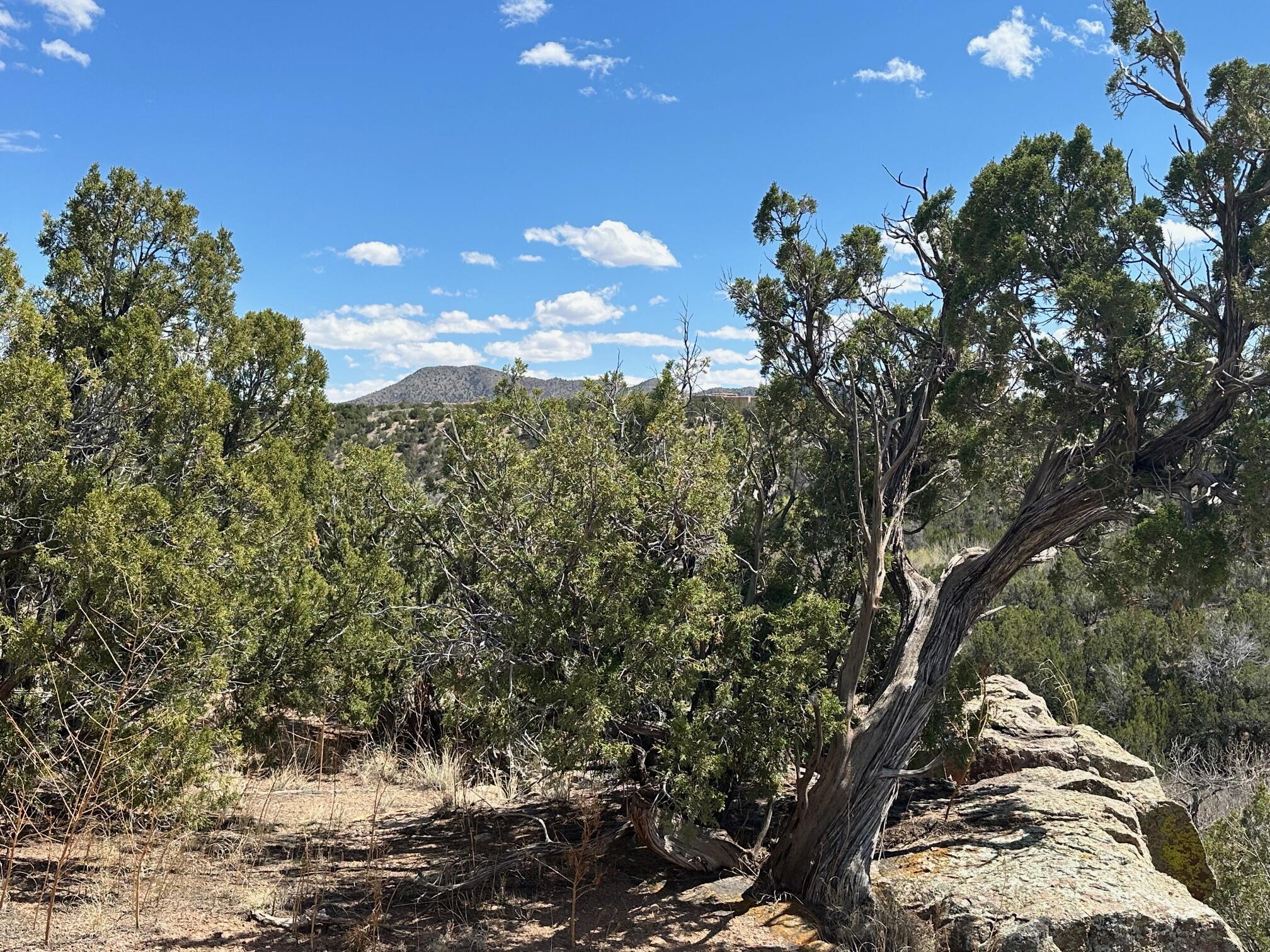 Photo 15 — 64 GOLD MINE Trail