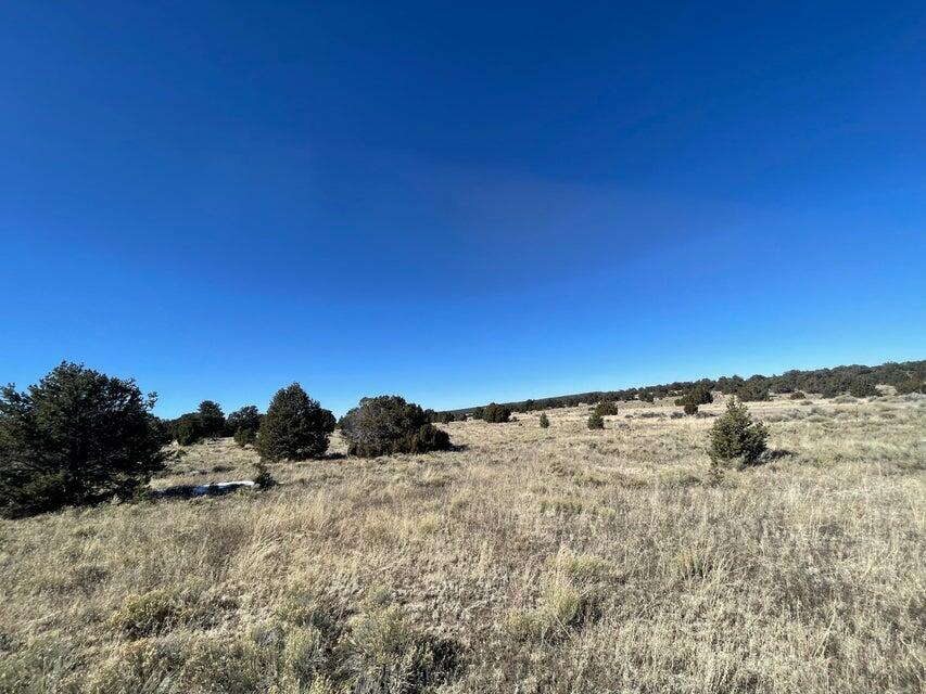 Photo 12 — 319 Hwy 603