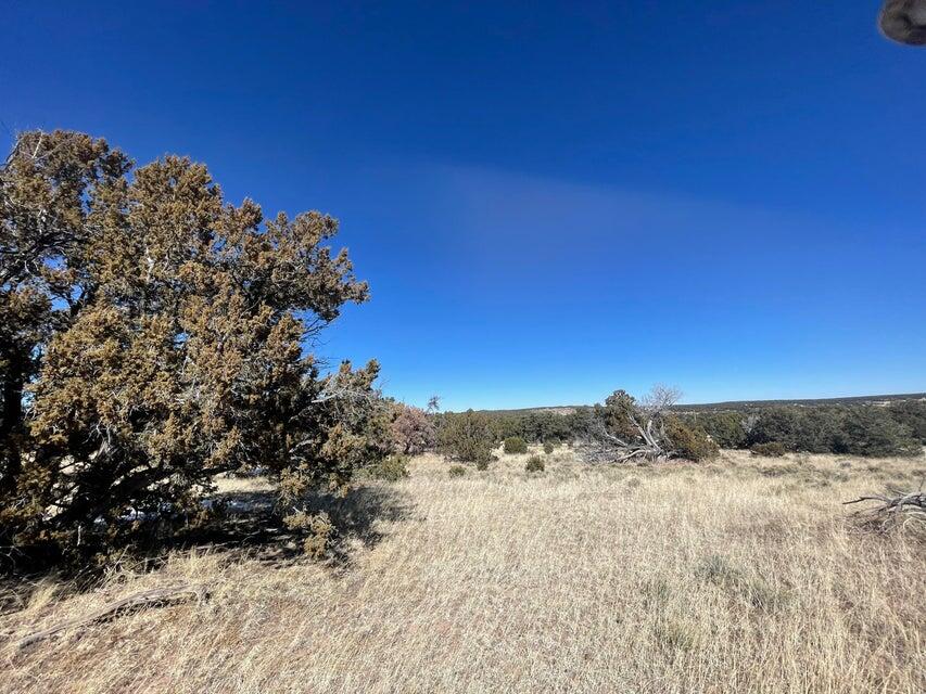 Photo 18 — 319 Hwy 603