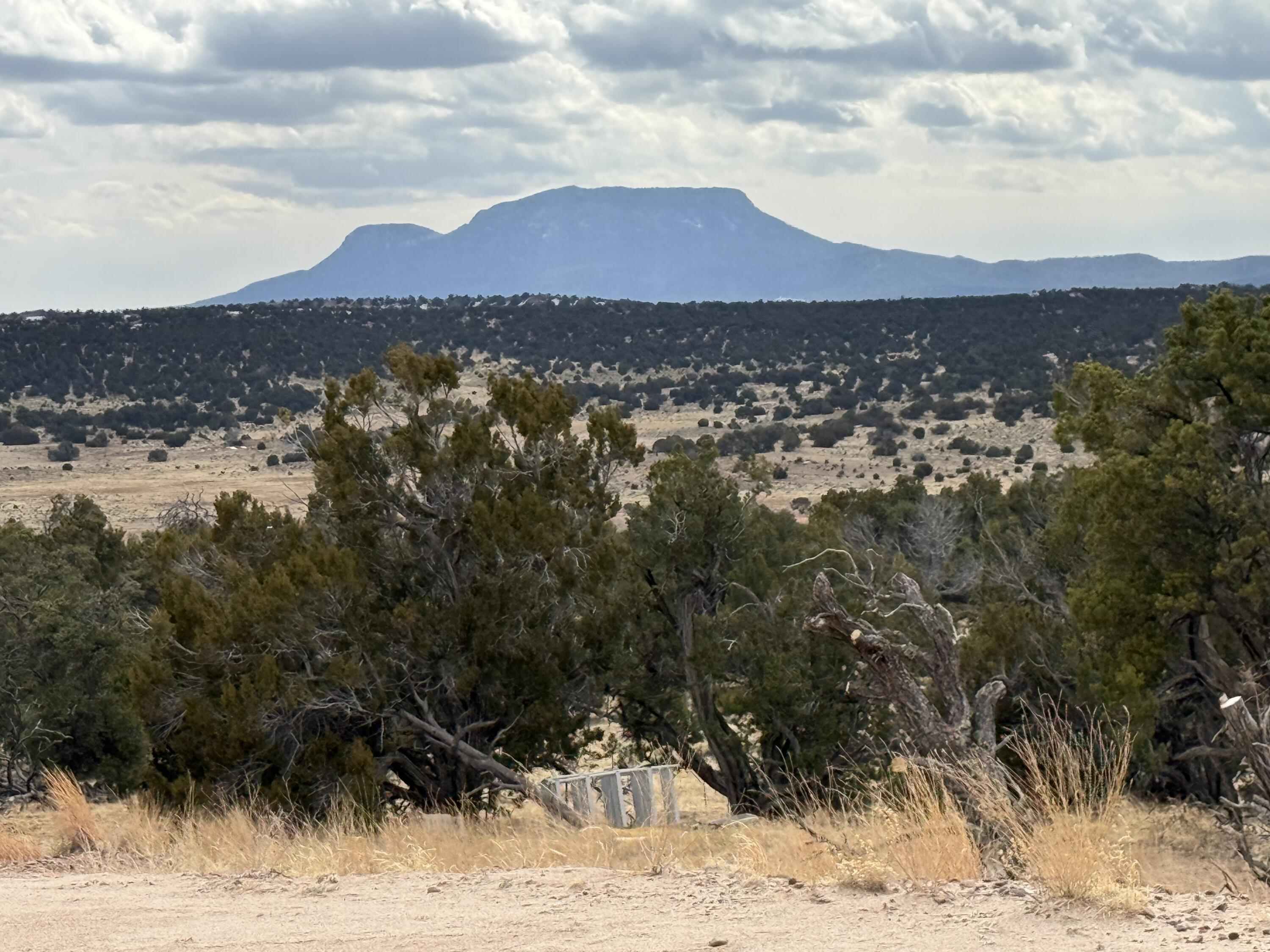 Photo 5 — 319 Hwy 603