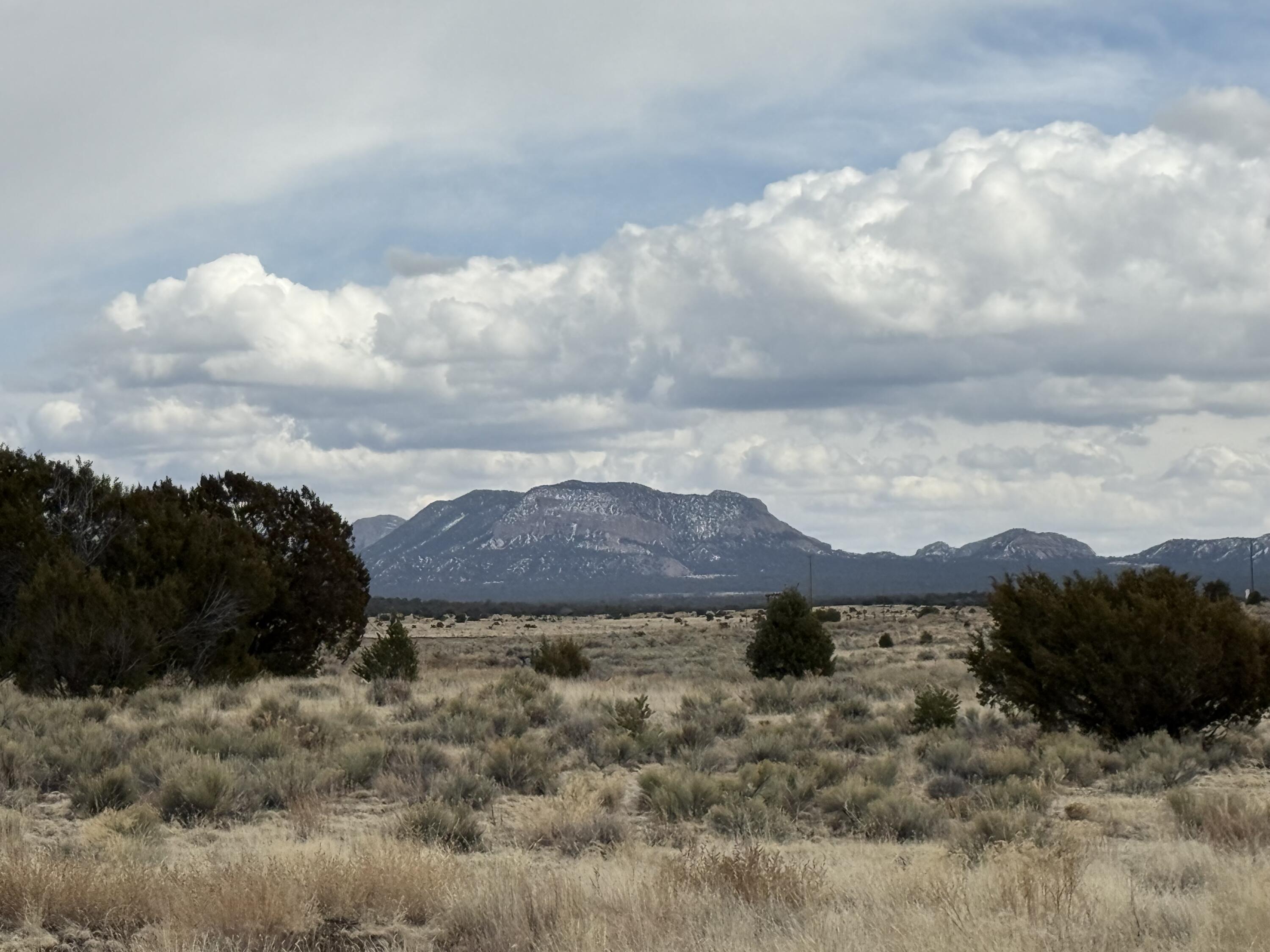 Photo 2 — 319 Hwy 603