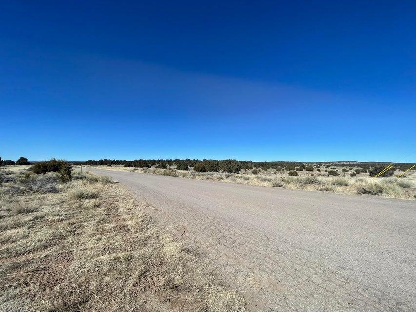 Photo 3 — 319 Hwy 603