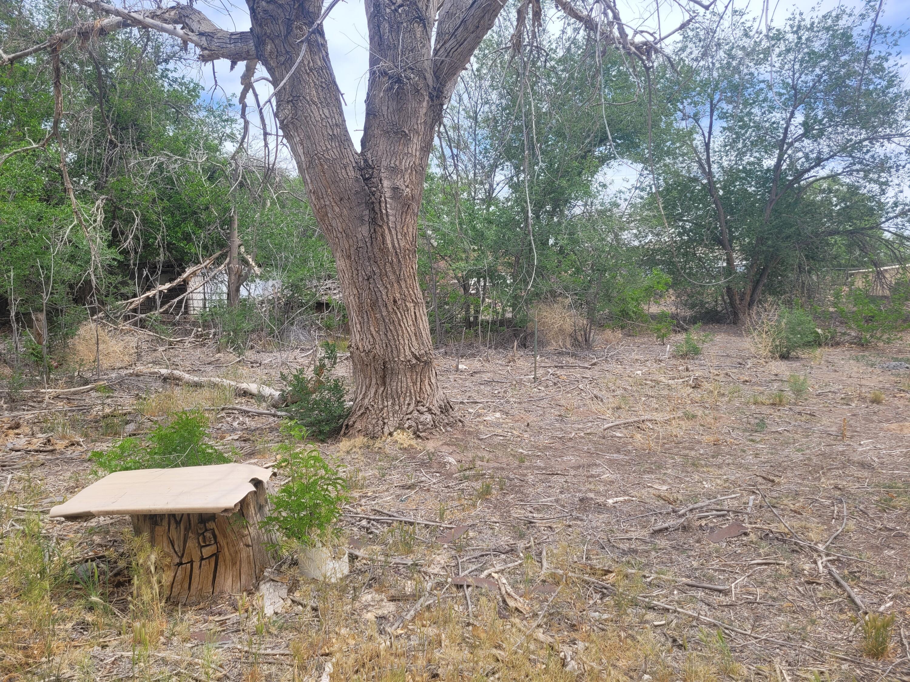 Photo 19 — 241 El Cerro Lp