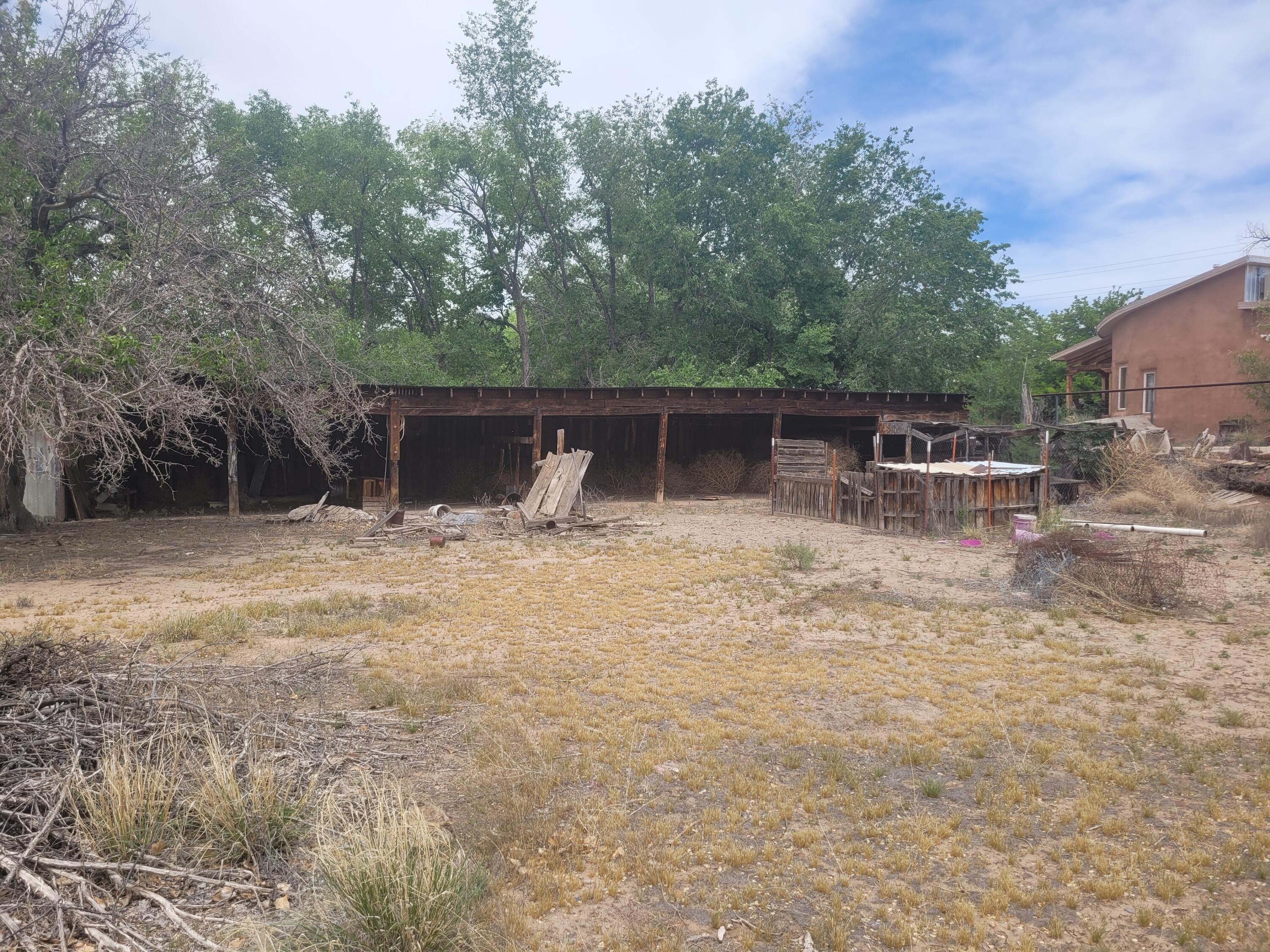 Photo 15 — 241 El Cerro Lp