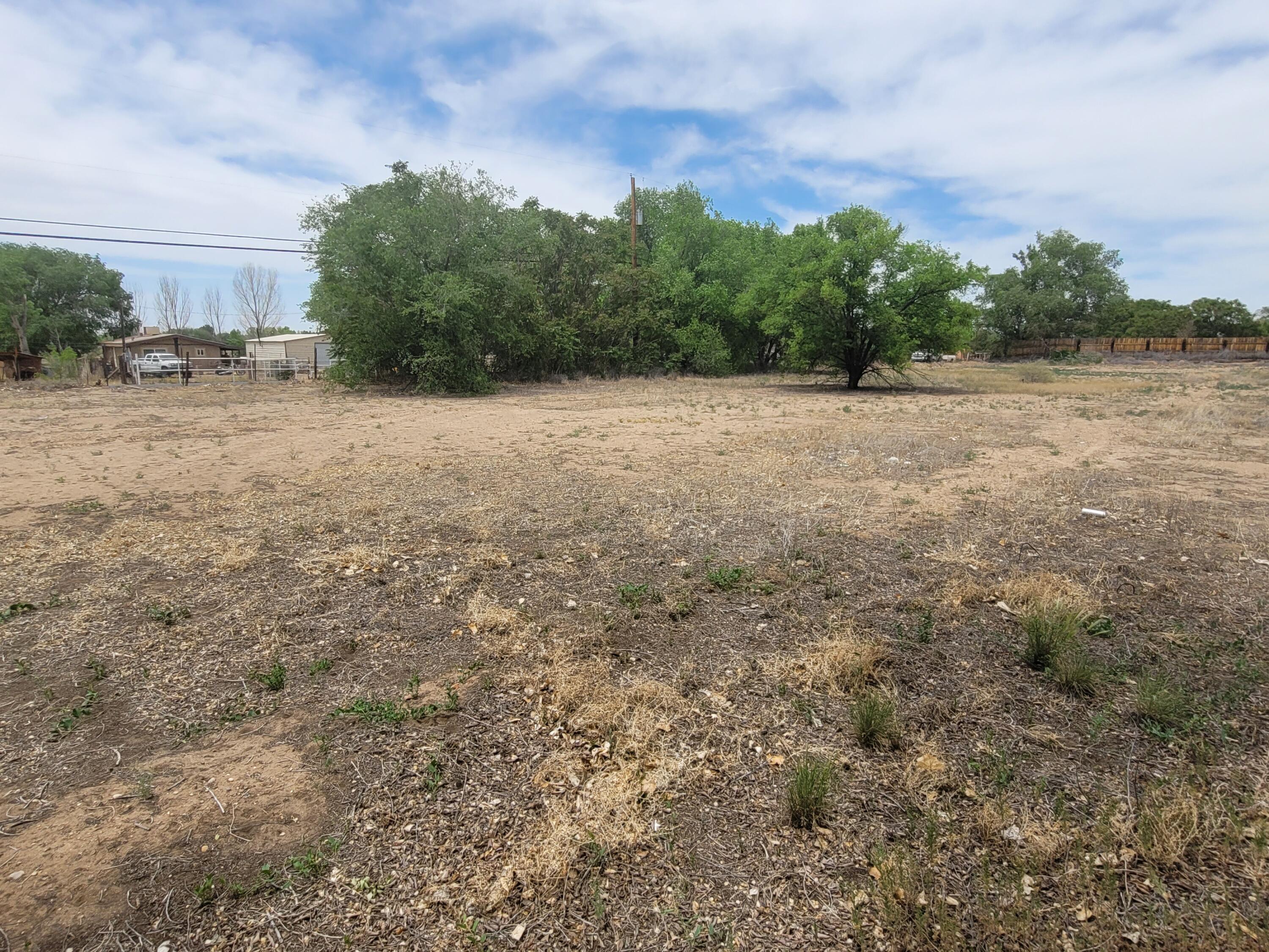 Photo 13 — 241 El Cerro Lp