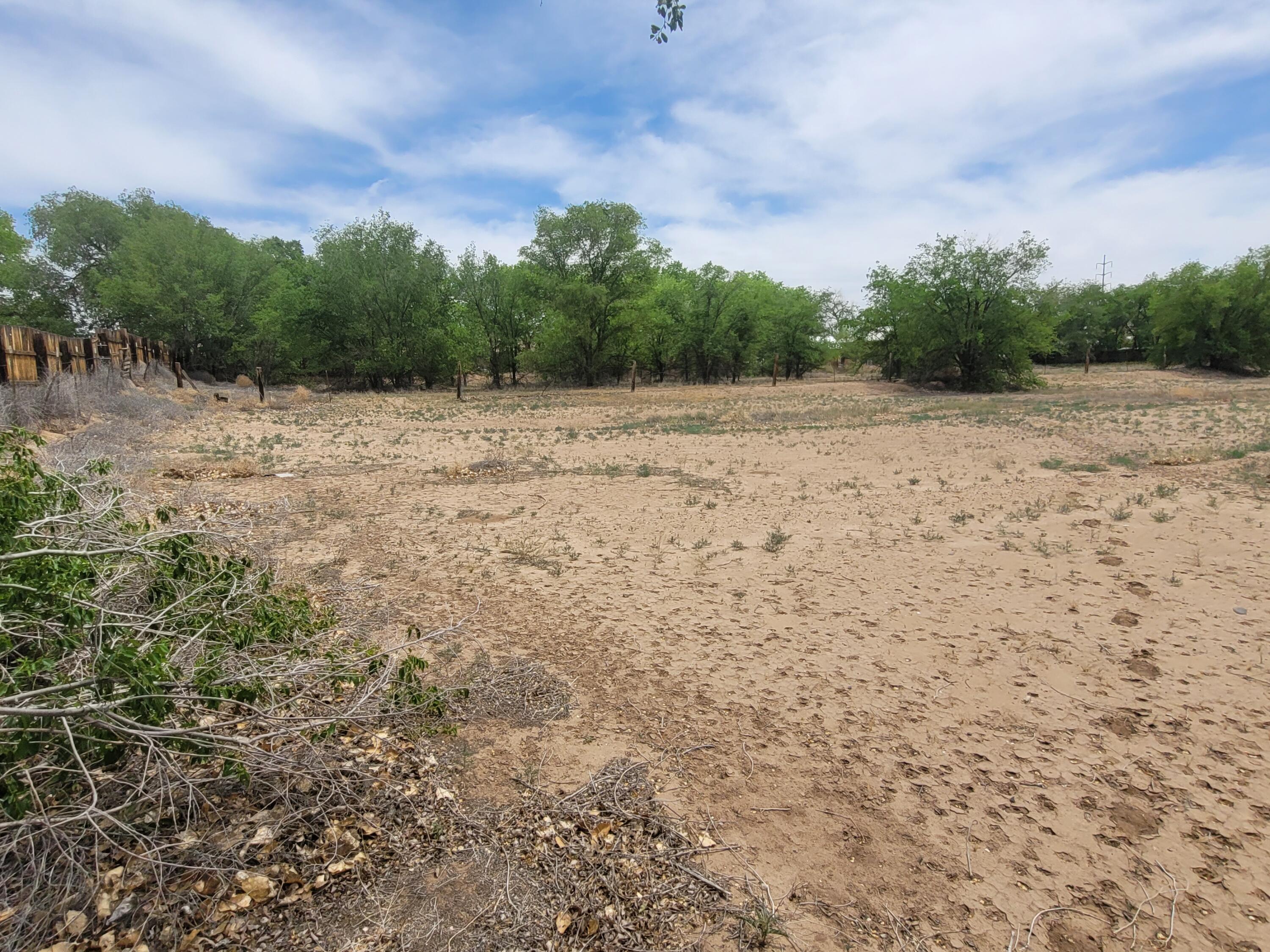 Photo 11 — 241 El Cerro Lp