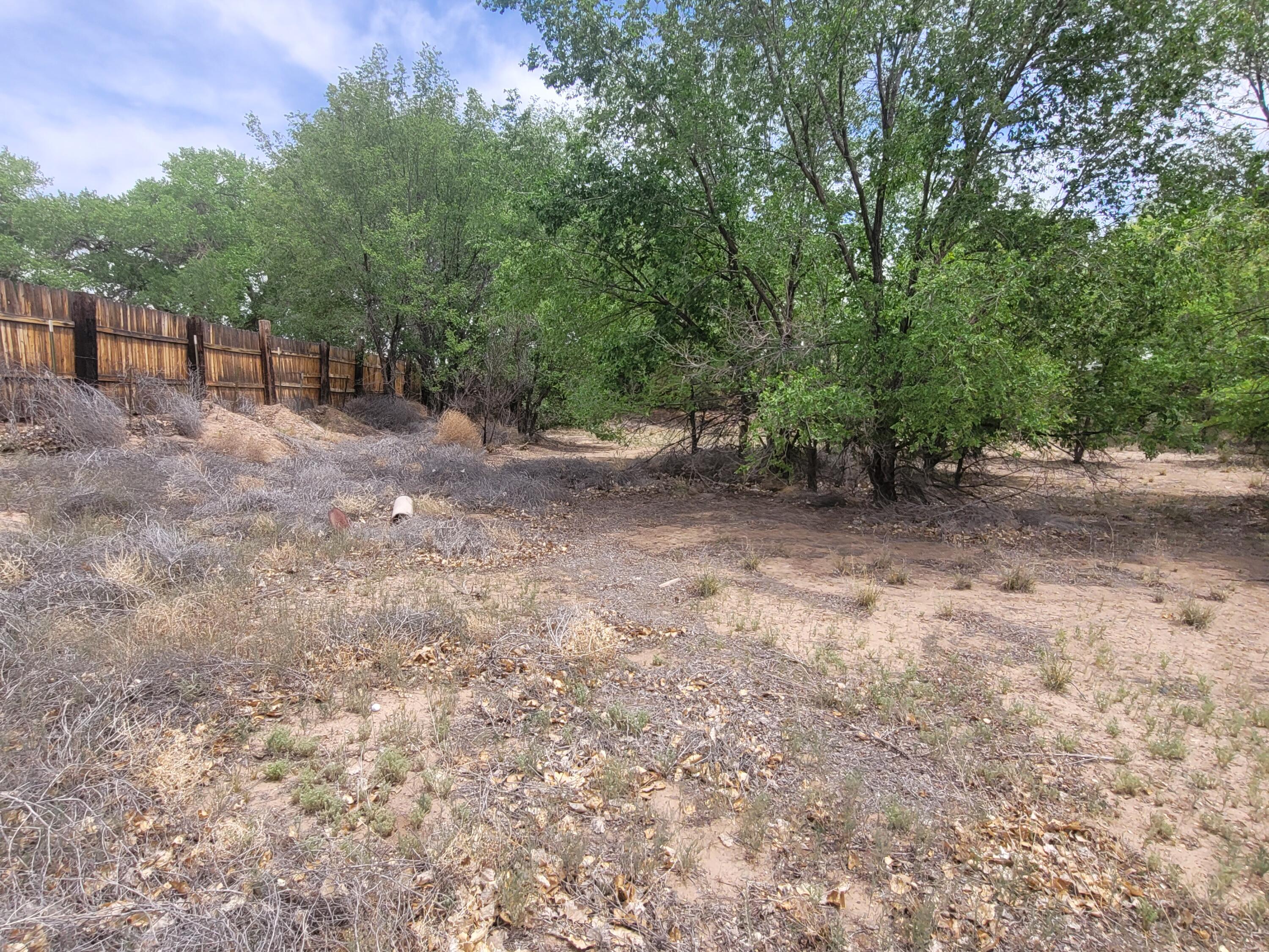 Photo 9 — 241 El Cerro Lp