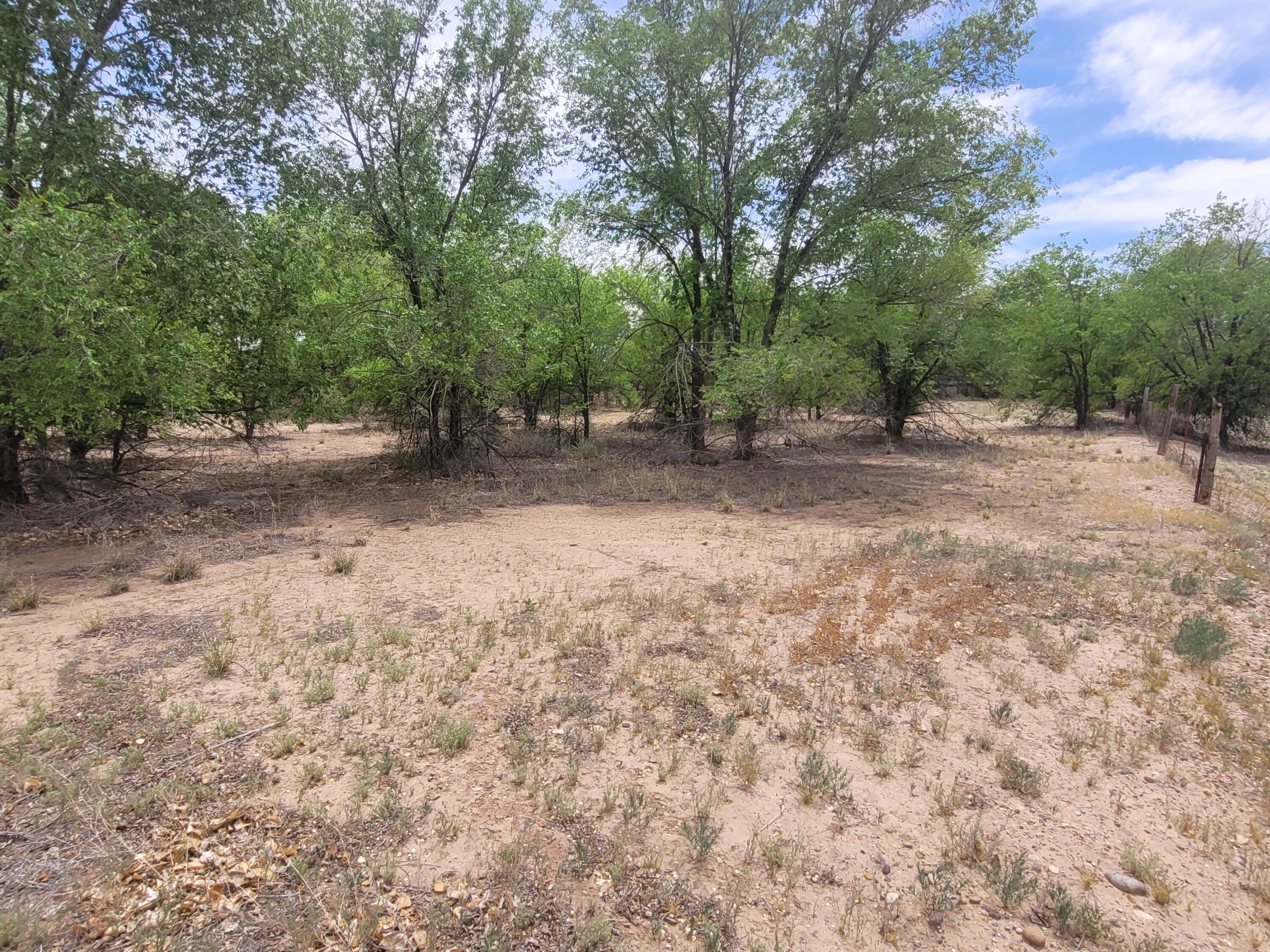 Photo 8 — 241 El Cerro Lp
