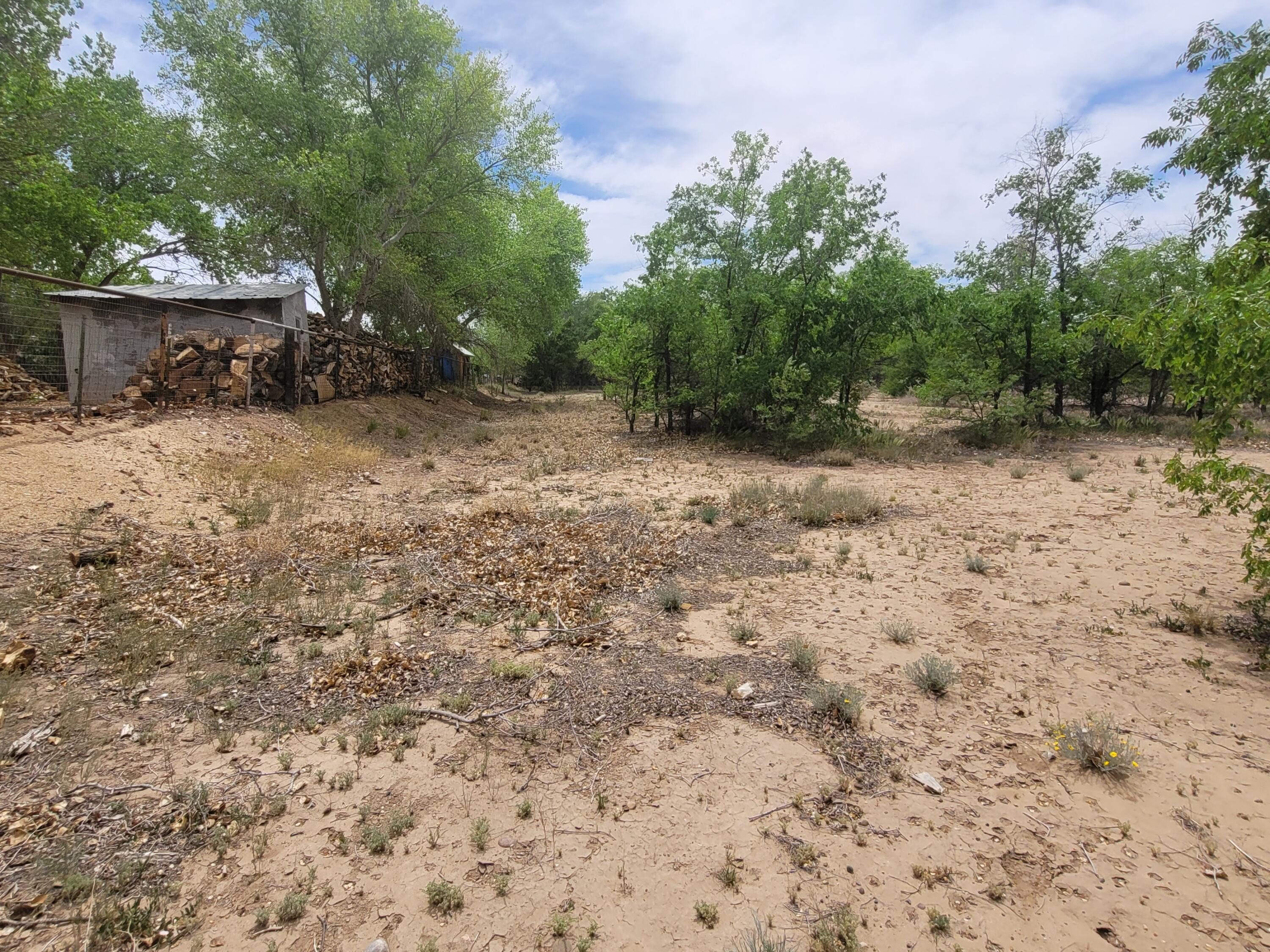 Photo 7 — 241 El Cerro Lp