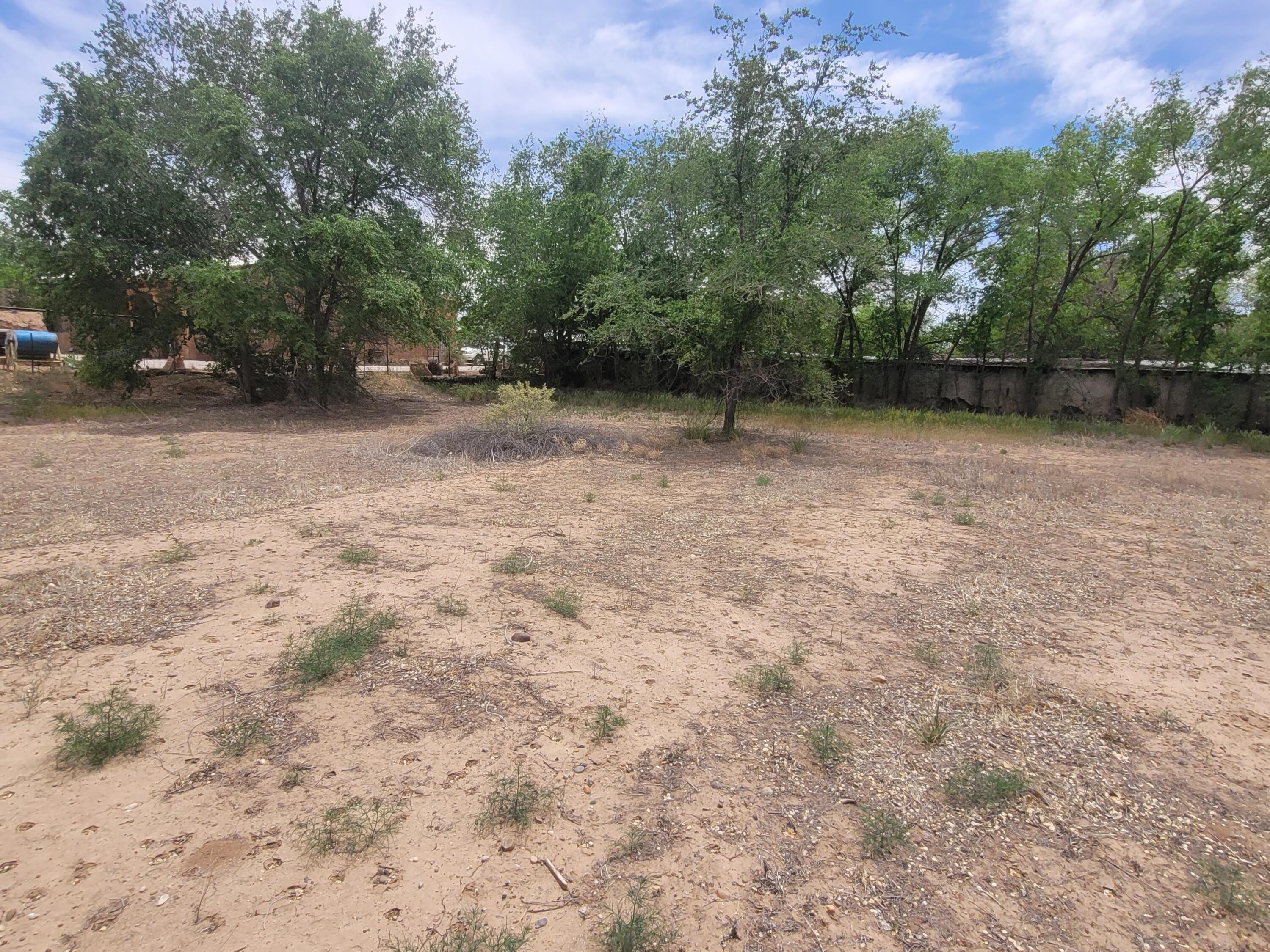 Photo 5 — 241 El Cerro Lp