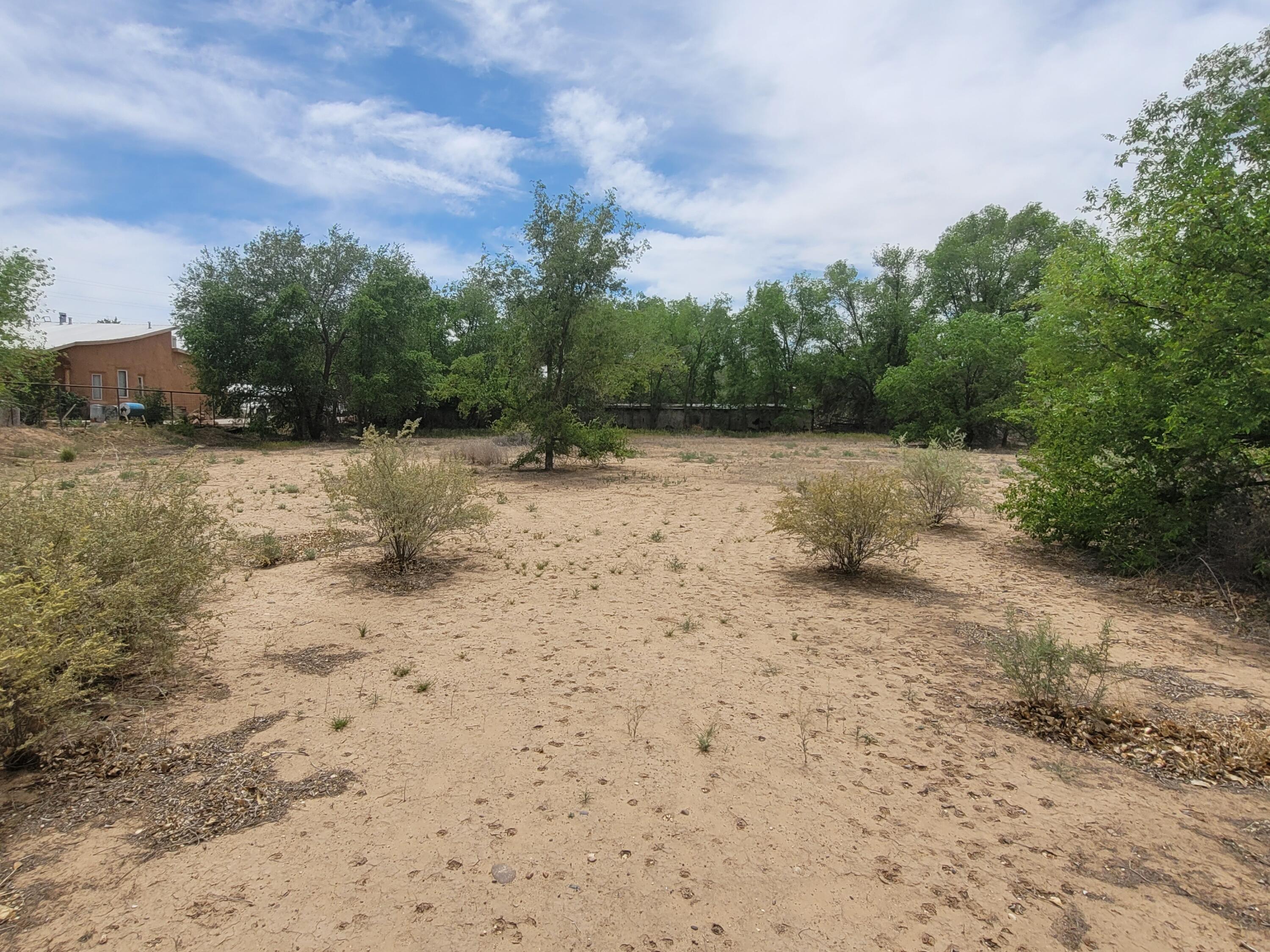 Photo 4 — 241 El Cerro Lp