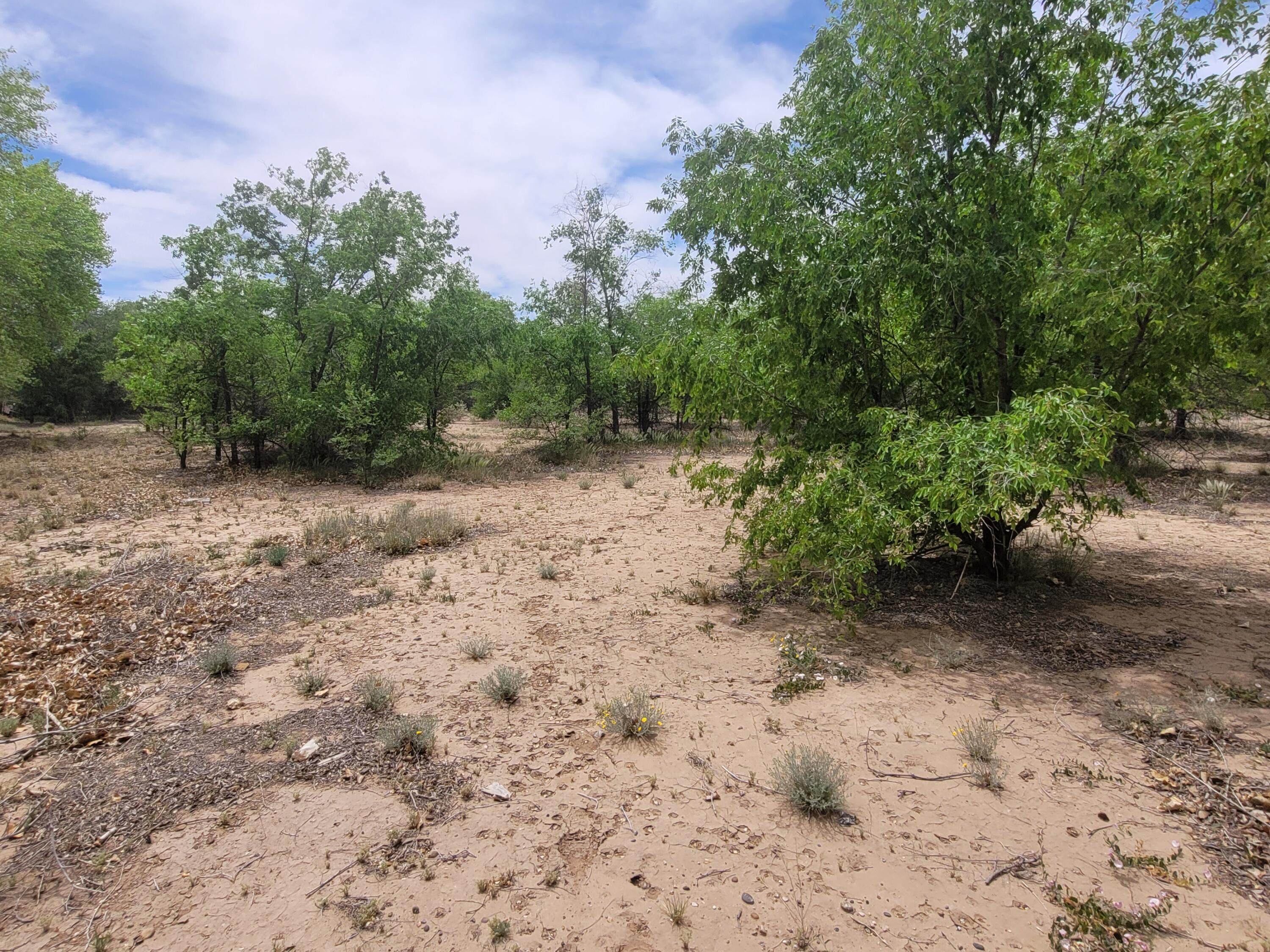 Photo 3 — 241 El Cerro Lp