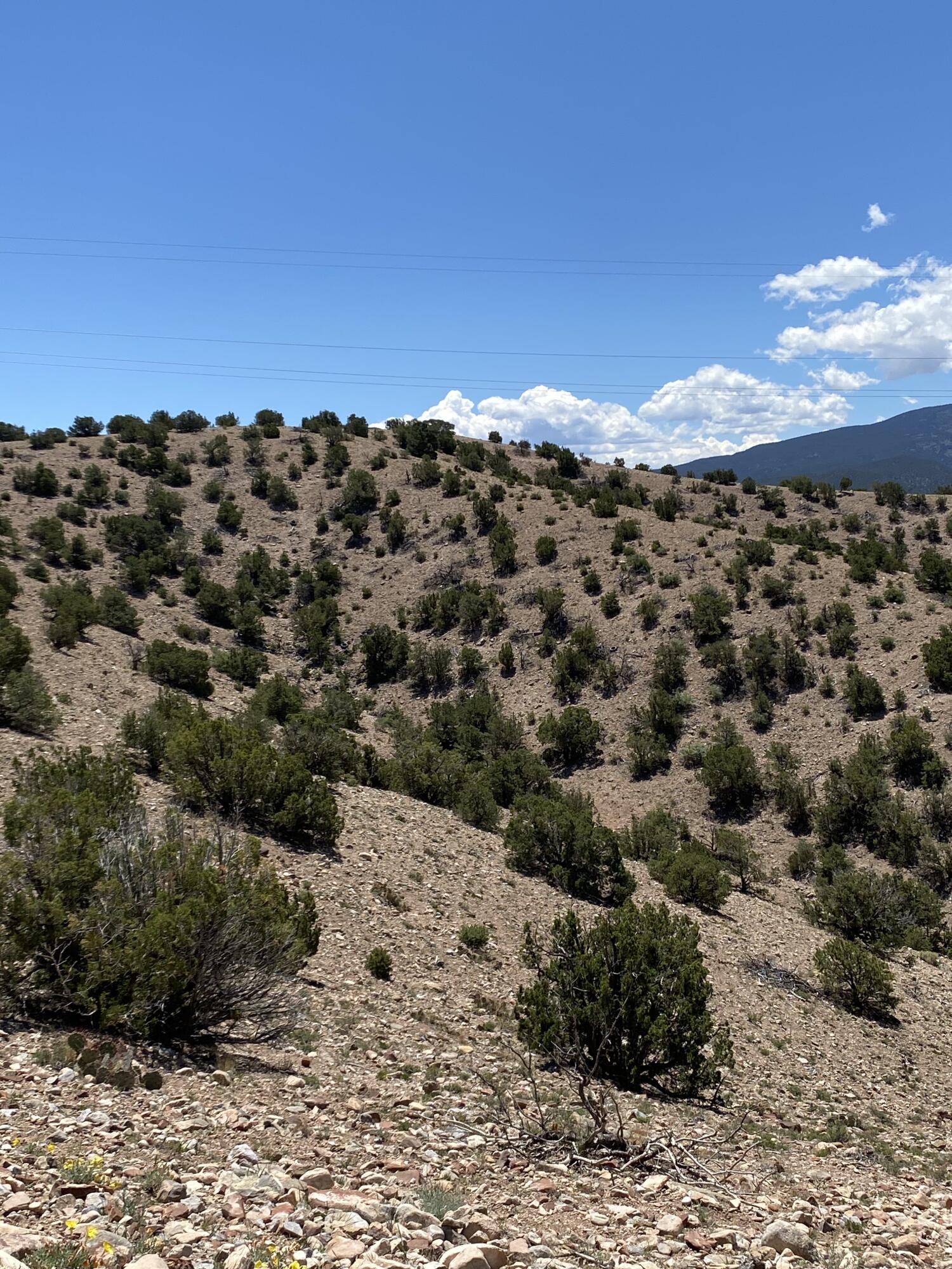 Photo 3 —  Camino Halcon