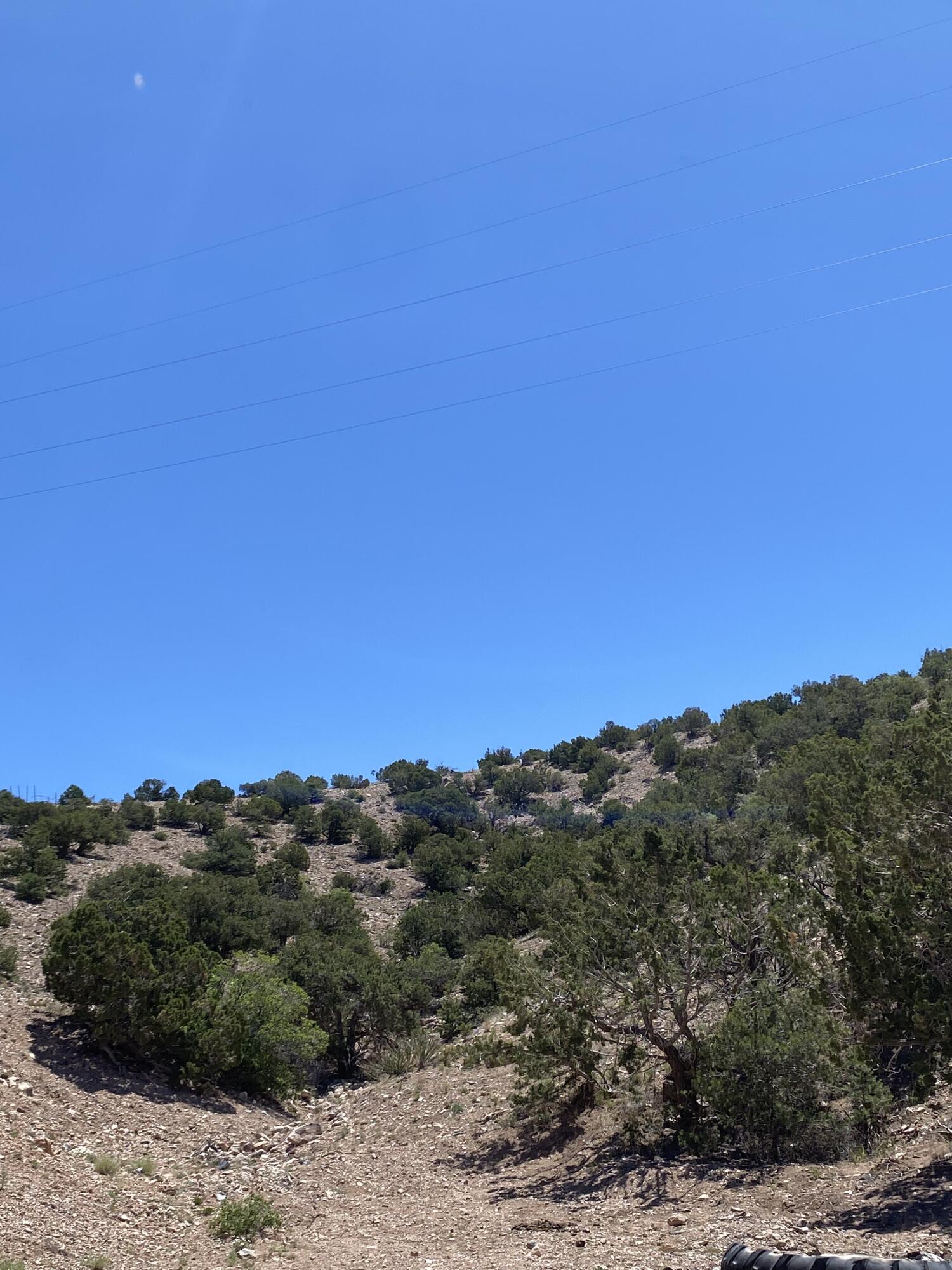 Photo 2 —  Camino Halcon