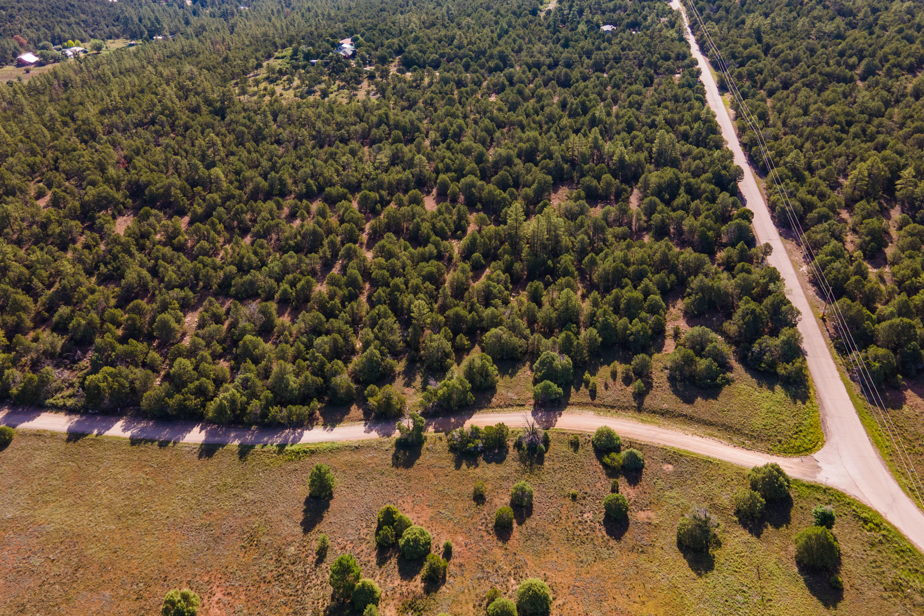 Photo 3 — 10 Young Road