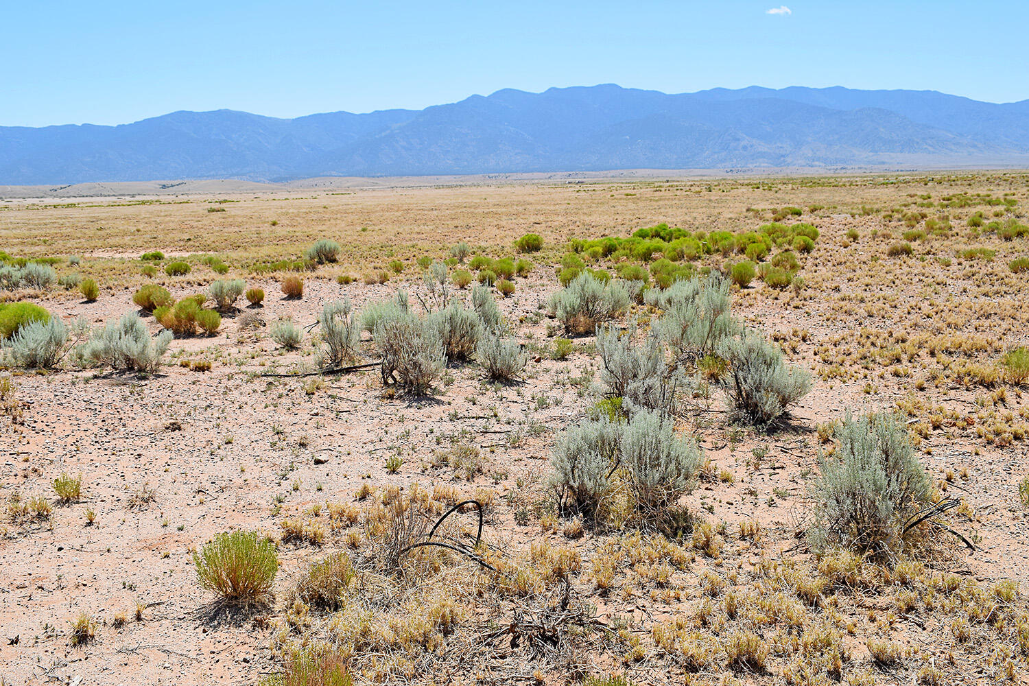 Lot 206 Rancho Rio Grande 16e, Los Lunas, NM 87031