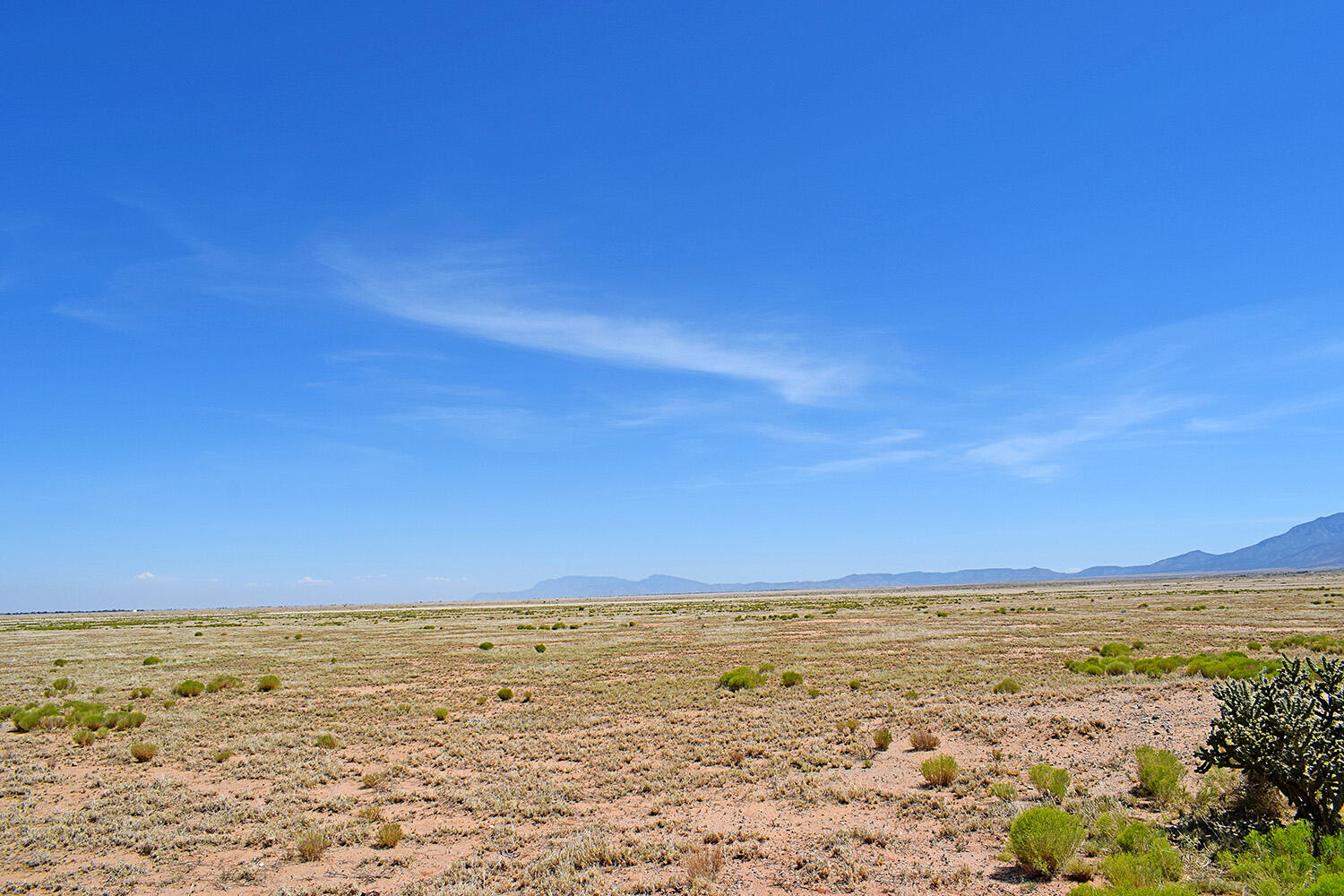 Photo 3 — Lot 206 Rancho Rio Grande 16e