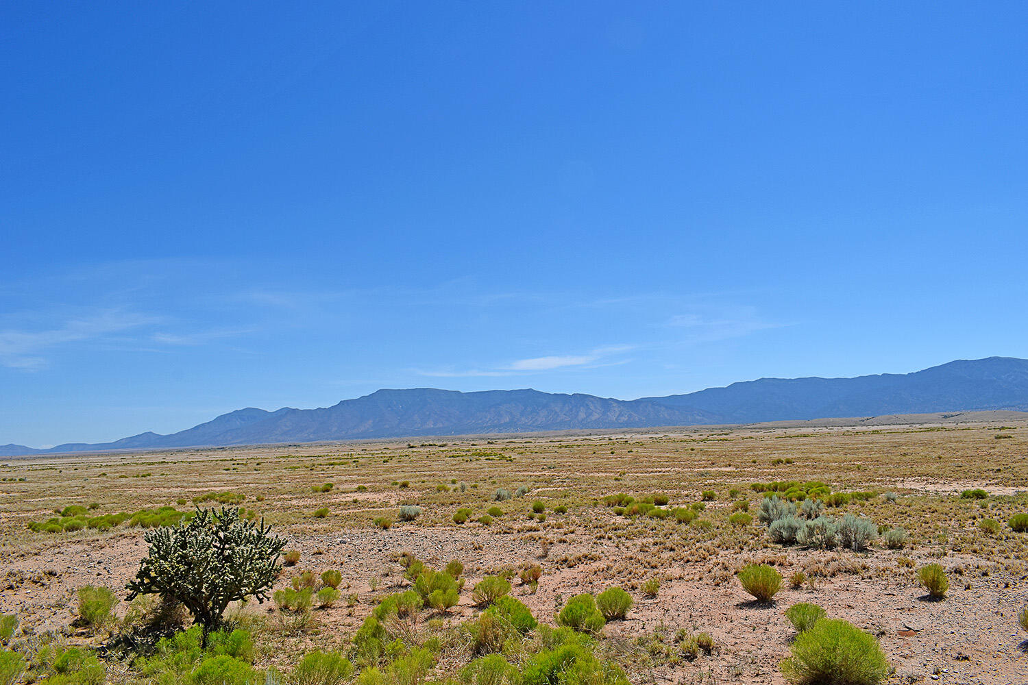 Photo 4 — Lot 206 Rancho Rio Grande 16e