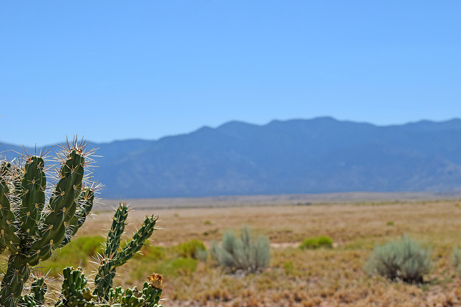 Photo 10 — Lot 206 Rancho Rio Grande 16e