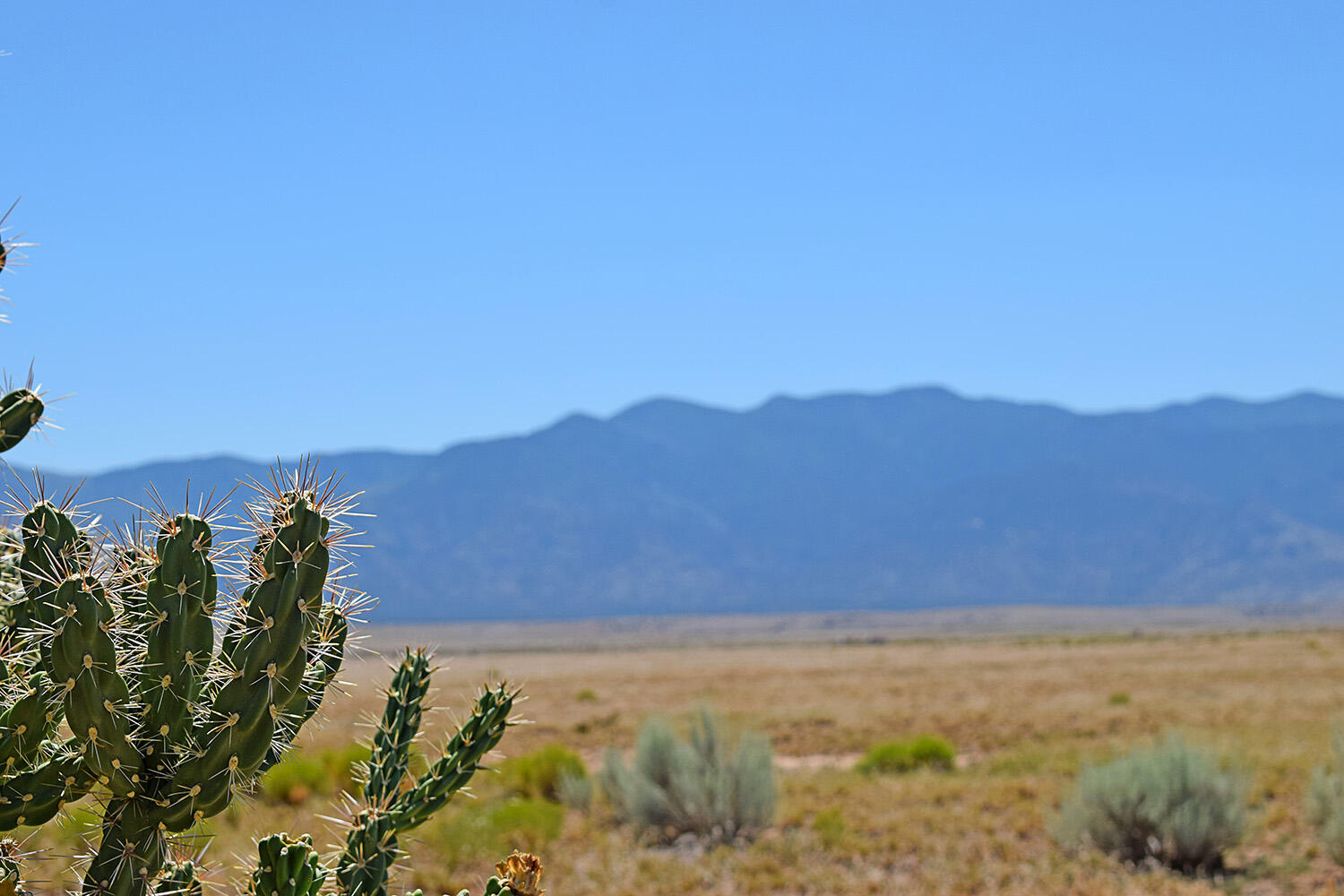 Photo 11 — Lot 206 Rancho Rio Grande 16e