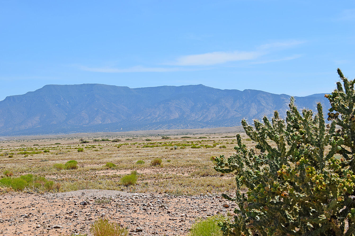 Photo 12 — Lot 206 Rancho Rio Grande 16e
