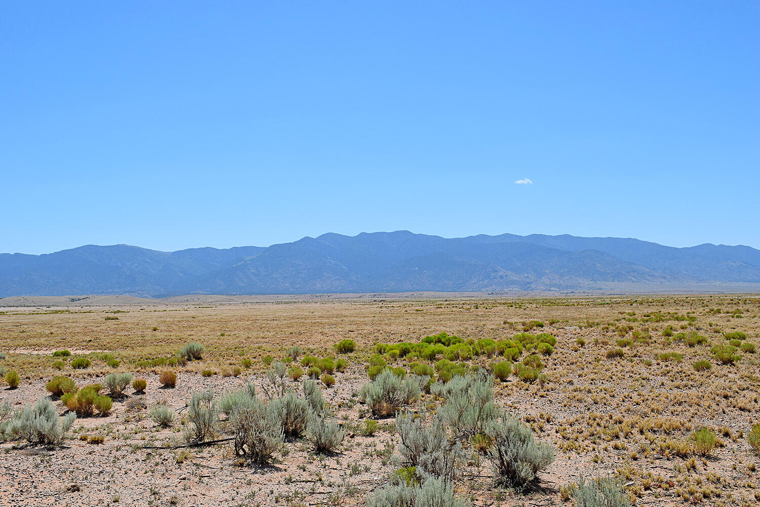 Photo 15 — Lot 206 Rancho Rio Grande 16e