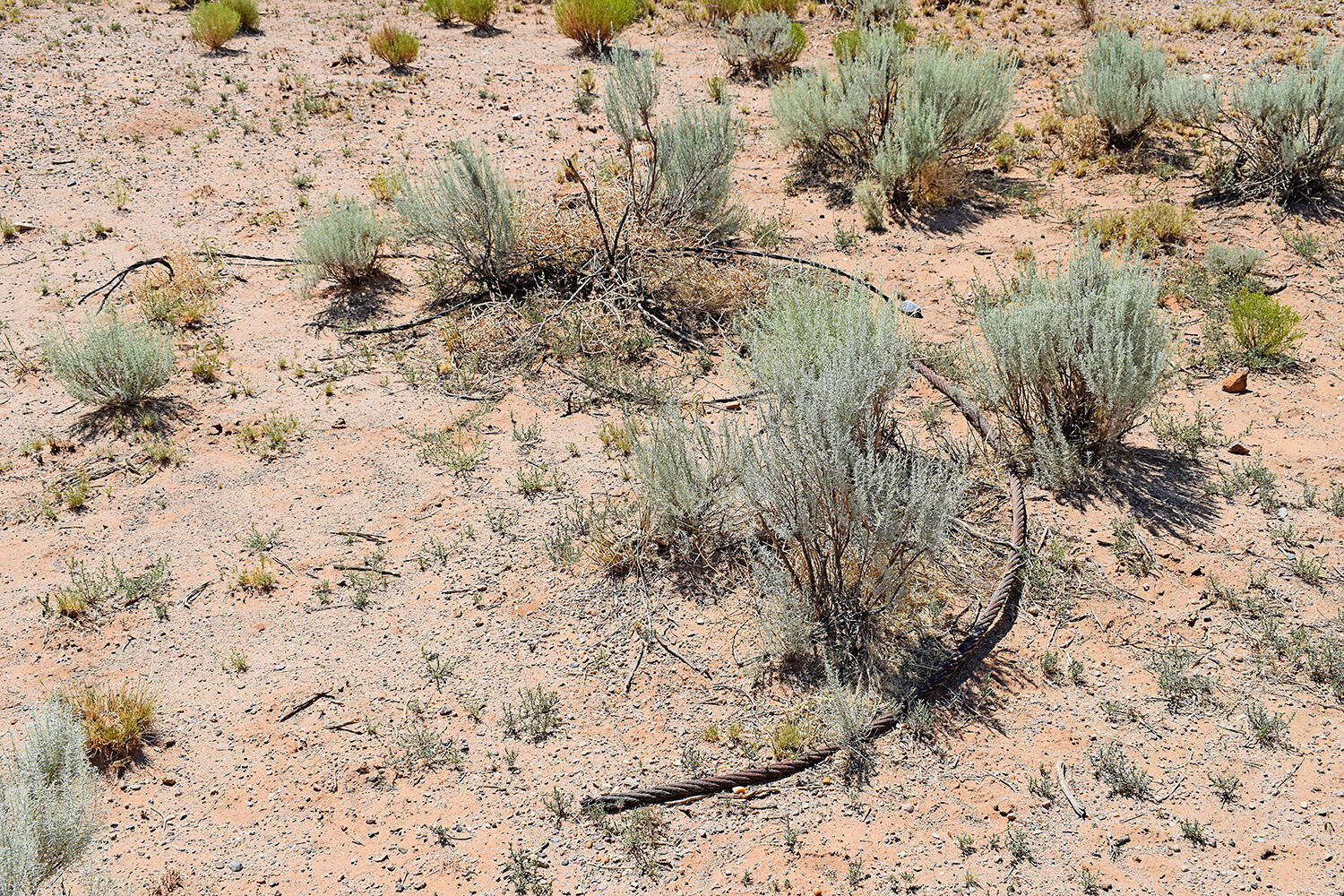 Photo 16 — Lot 206 Rancho Rio Grande 16e