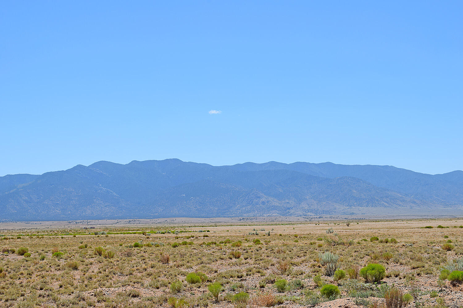 Photo 6 — Lot 203 Rancho Rio Grande 16e