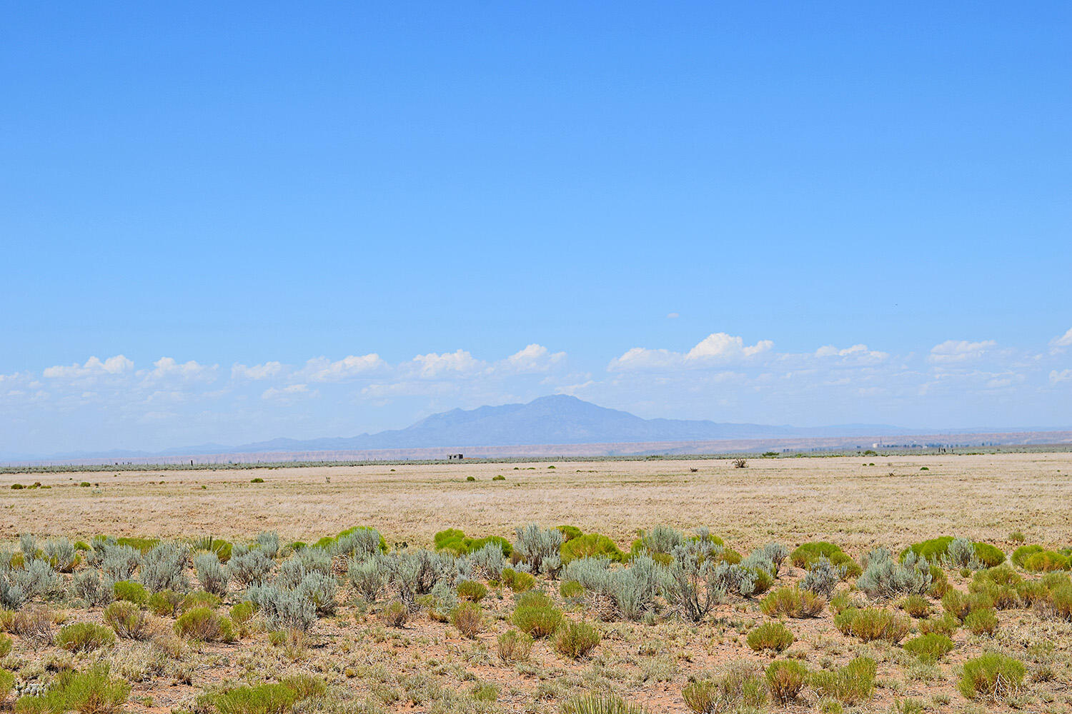 Photo 13 — Lot 203 Rancho Rio Grande 16e