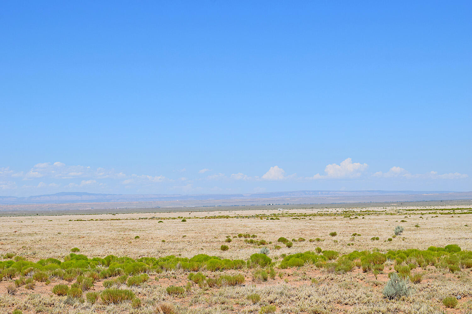 Photo 14 — Lot 203 Rancho Rio Grande 16e