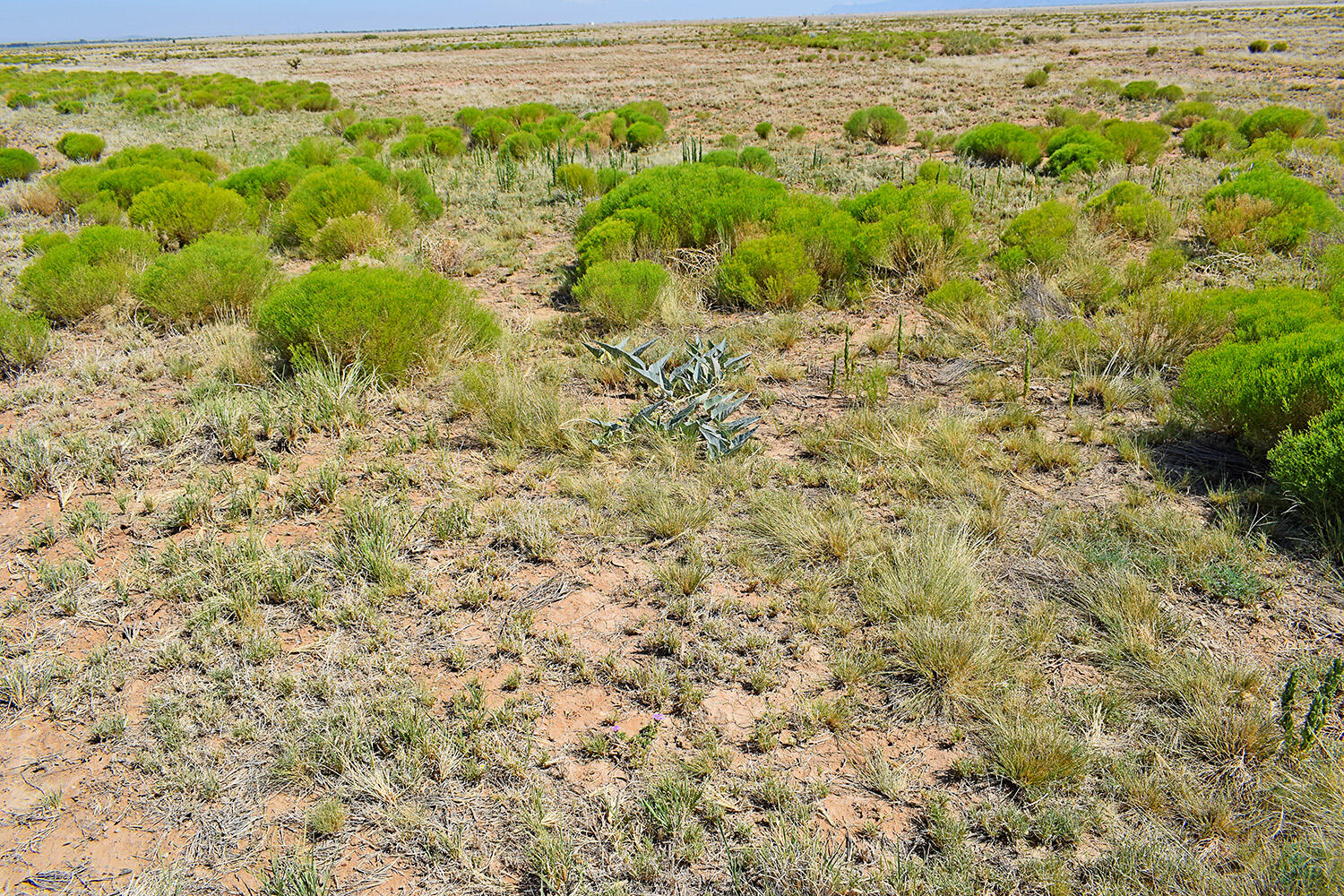 Photo 3 — Lt 184-185 Rancho Rio Grande 16e