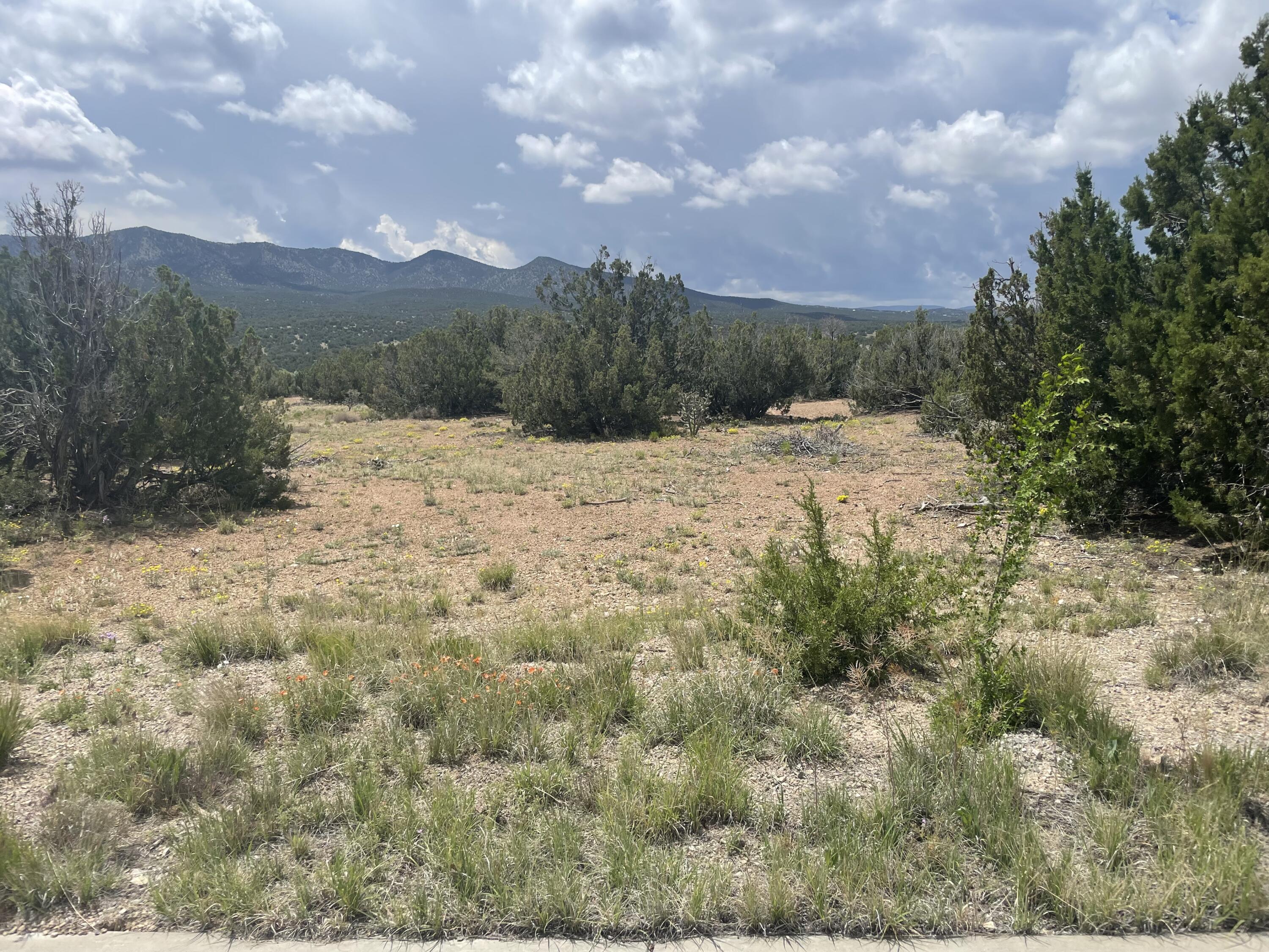 14 Tecolote Court, Sandia Park, NM 87047