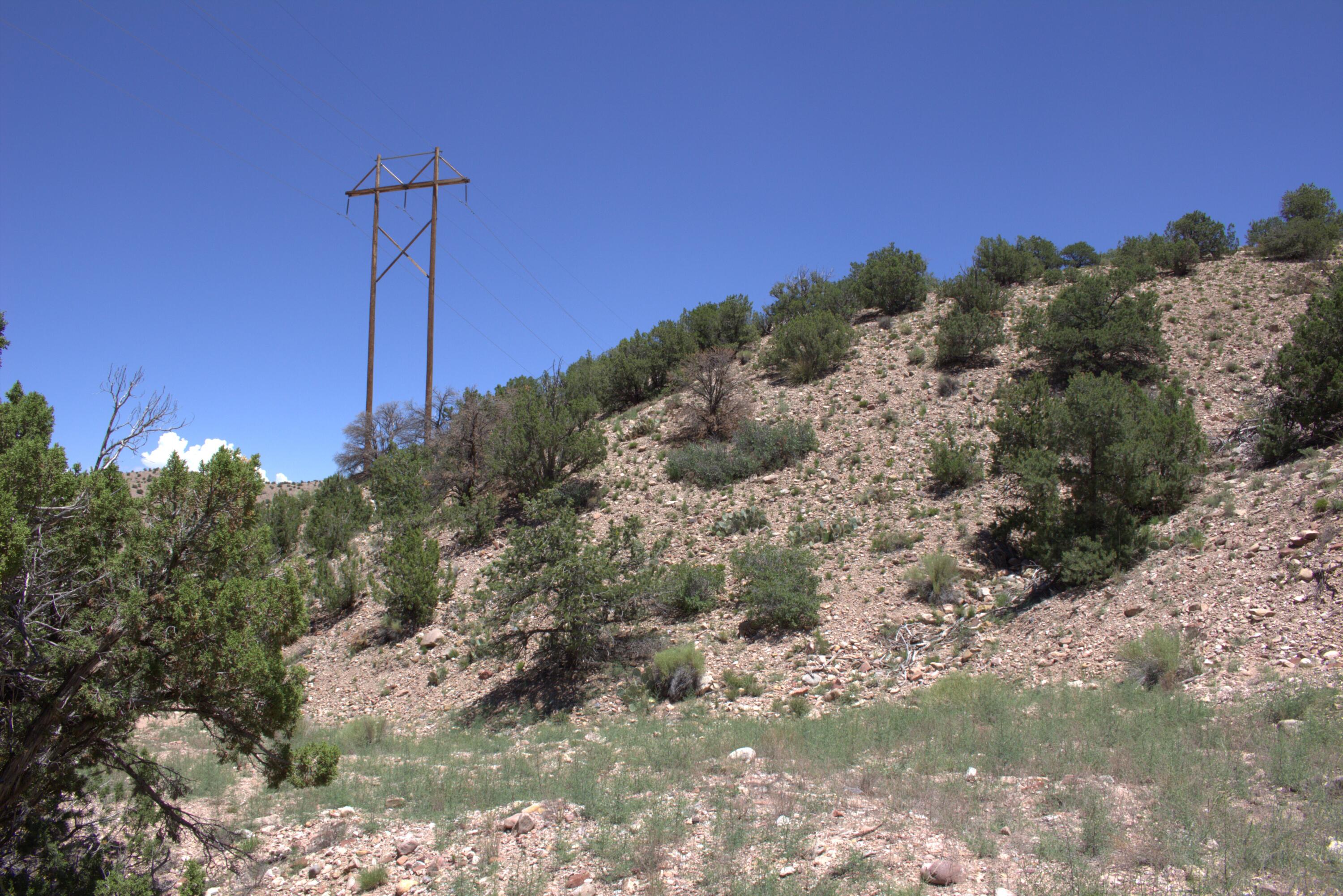 Photo 4 —  Tres Amigos