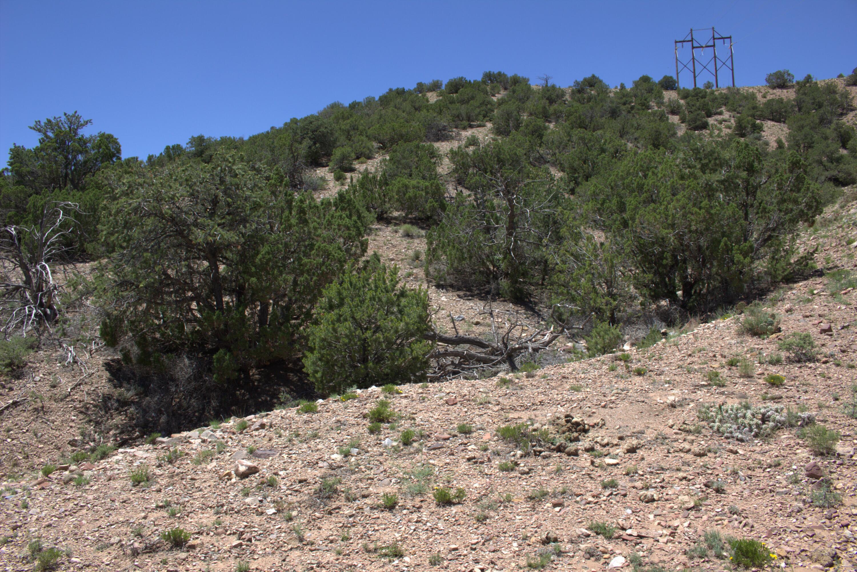 Photo 3 —  Tres Amigos Road