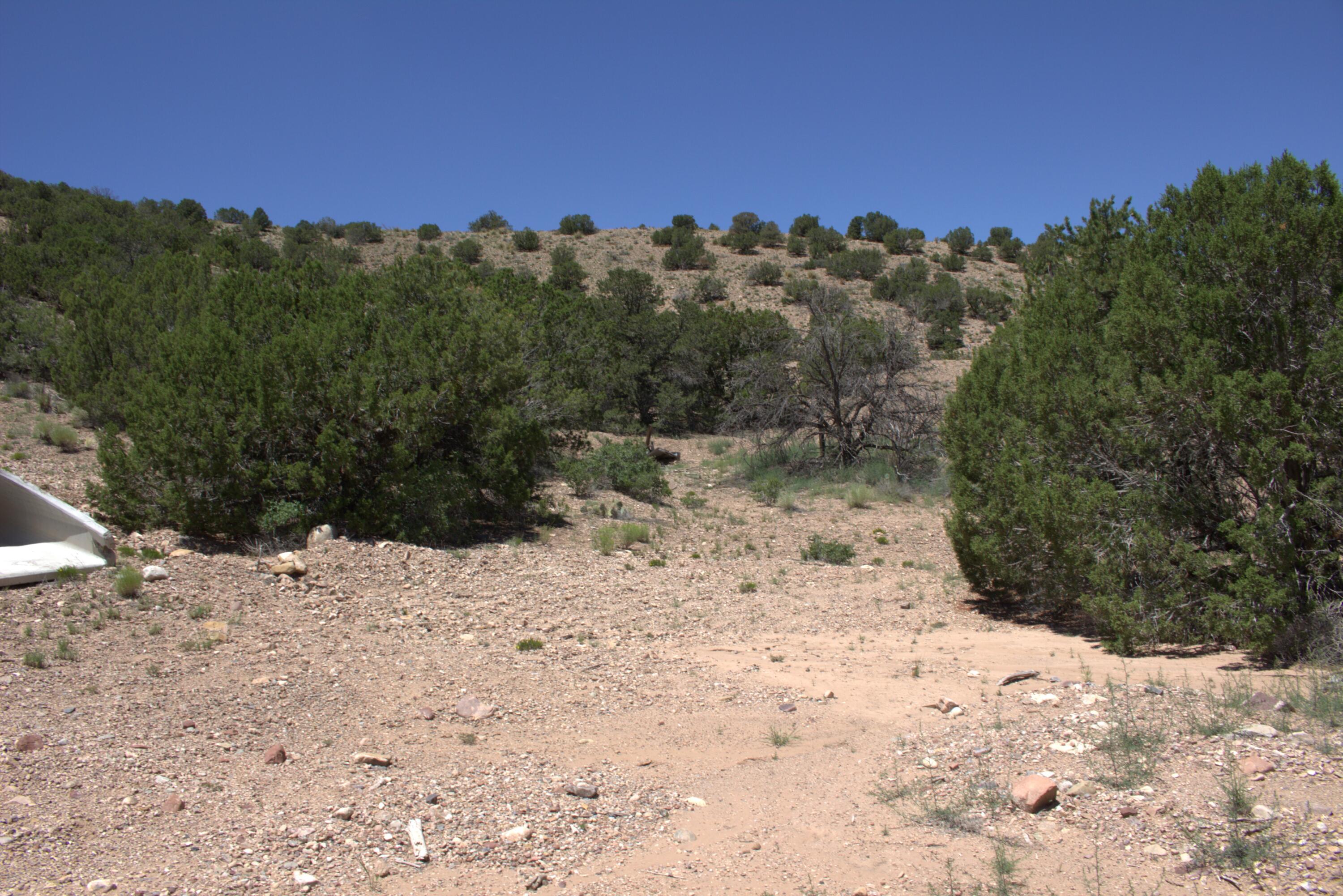 Photo 4 —  Tres Amigos Road