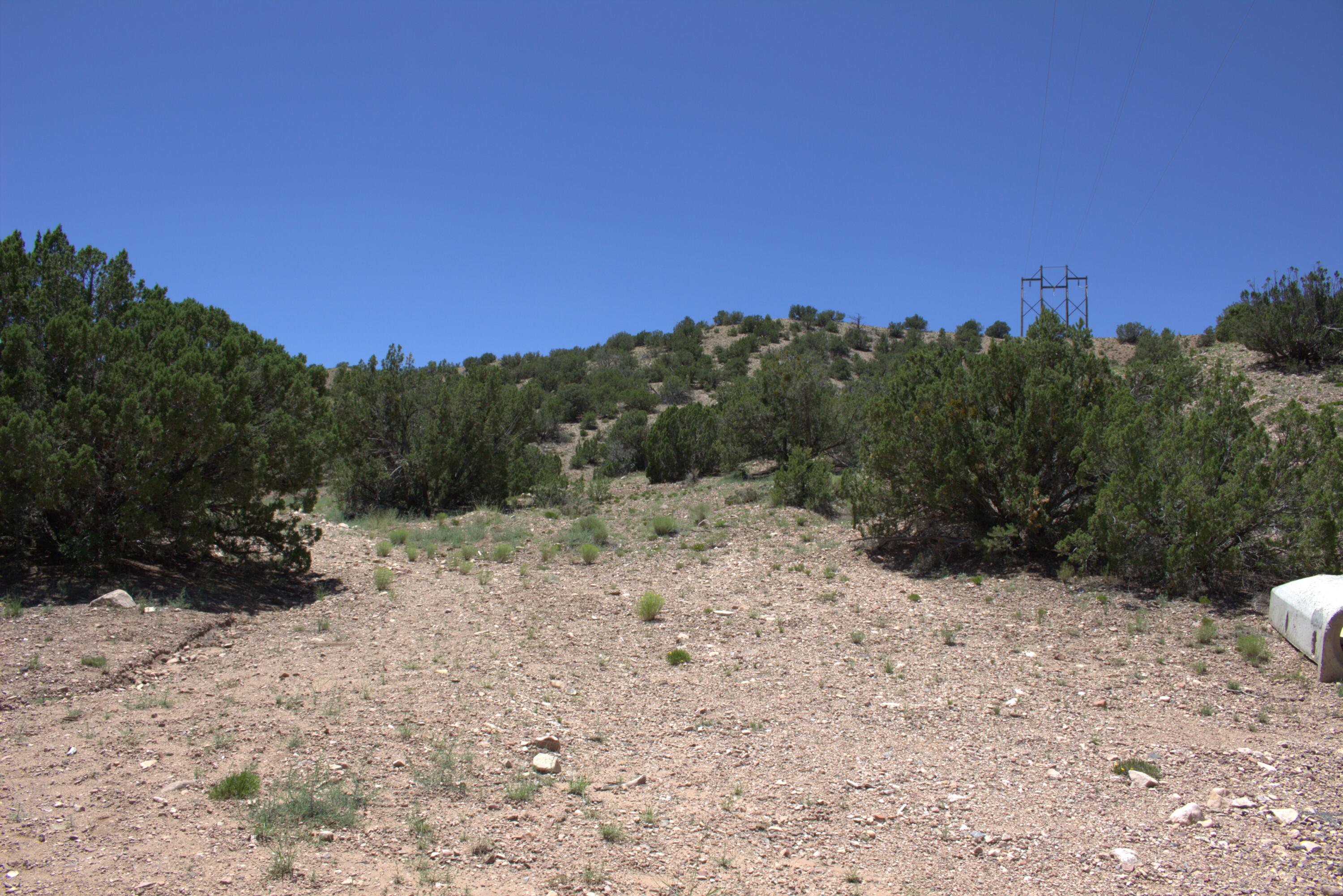 Photo 2 —  Tres Amigos Road