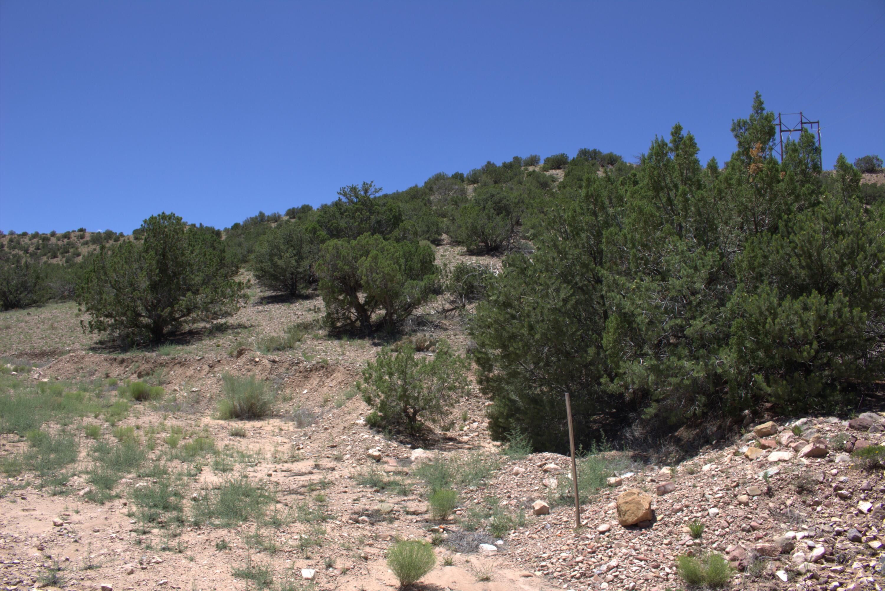 Photo 2 —  Tres Amigos Road