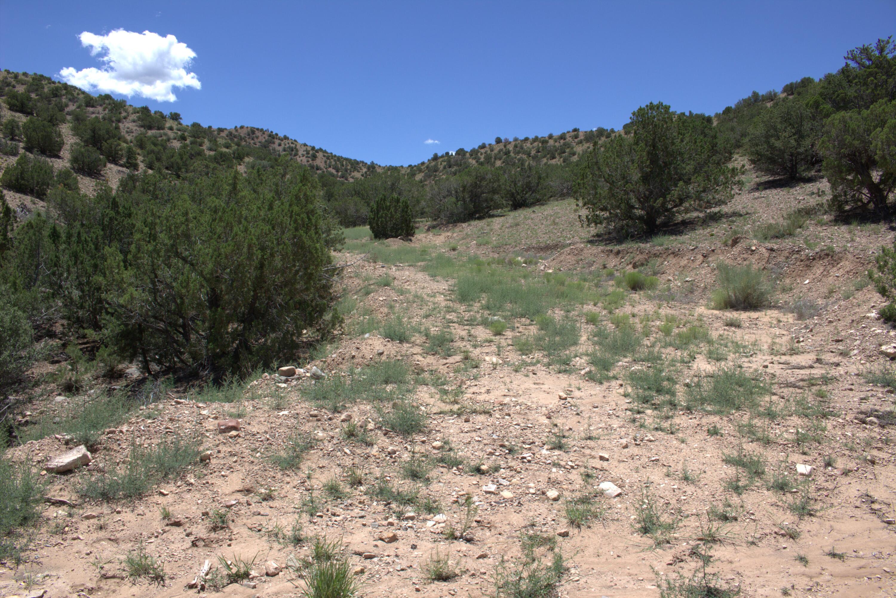 Photo 3 —  Tres Amigos Road